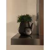 Mullrose Flowerpot - decorative kettle Mullrose Flowerpot - decorative kettle