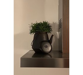 Mullrose Bloempot - Decoratieve ketel Mullrose Bloempot - Decoratieve ketel