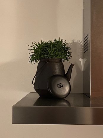 Mullrose Flowerpot - decorative kettle Mullrose Flowerpot - decorative kettle