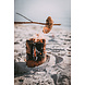 Mullrose Zweedse Fakkel | Cook Anywhere Mullrose Zweedse Fakkel | Cook Anywhere