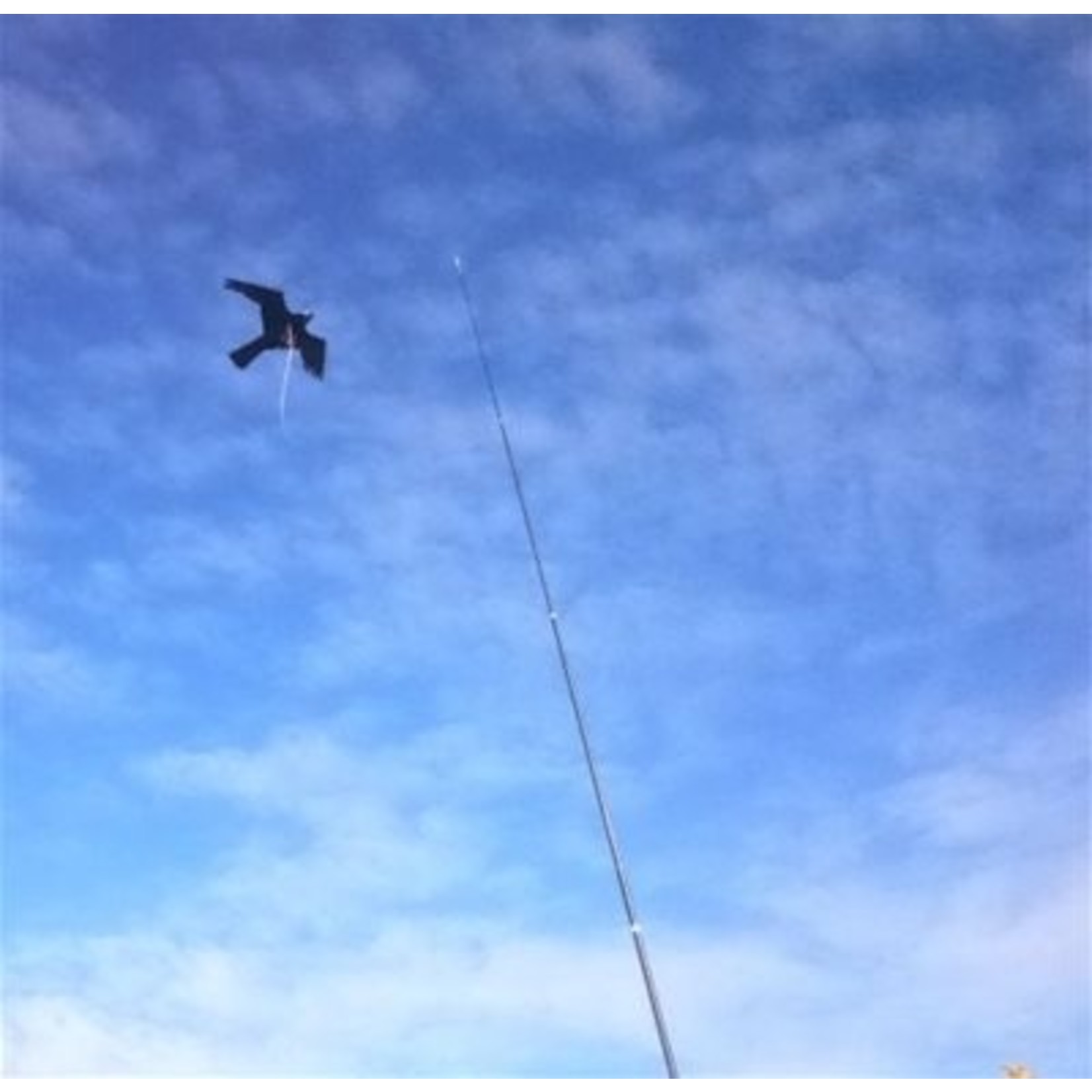 BSI BIRD-SCARE KITE-COMPLEET 7M.