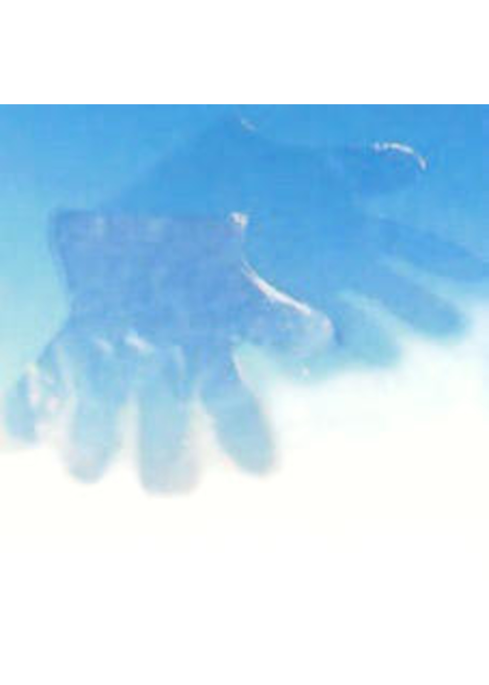 PE Handschoen -wegwerp- à 100st