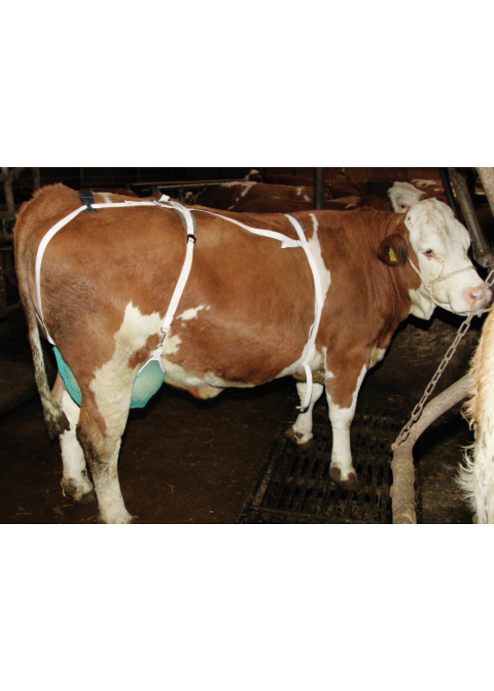 Kerbl Uiernet compleet