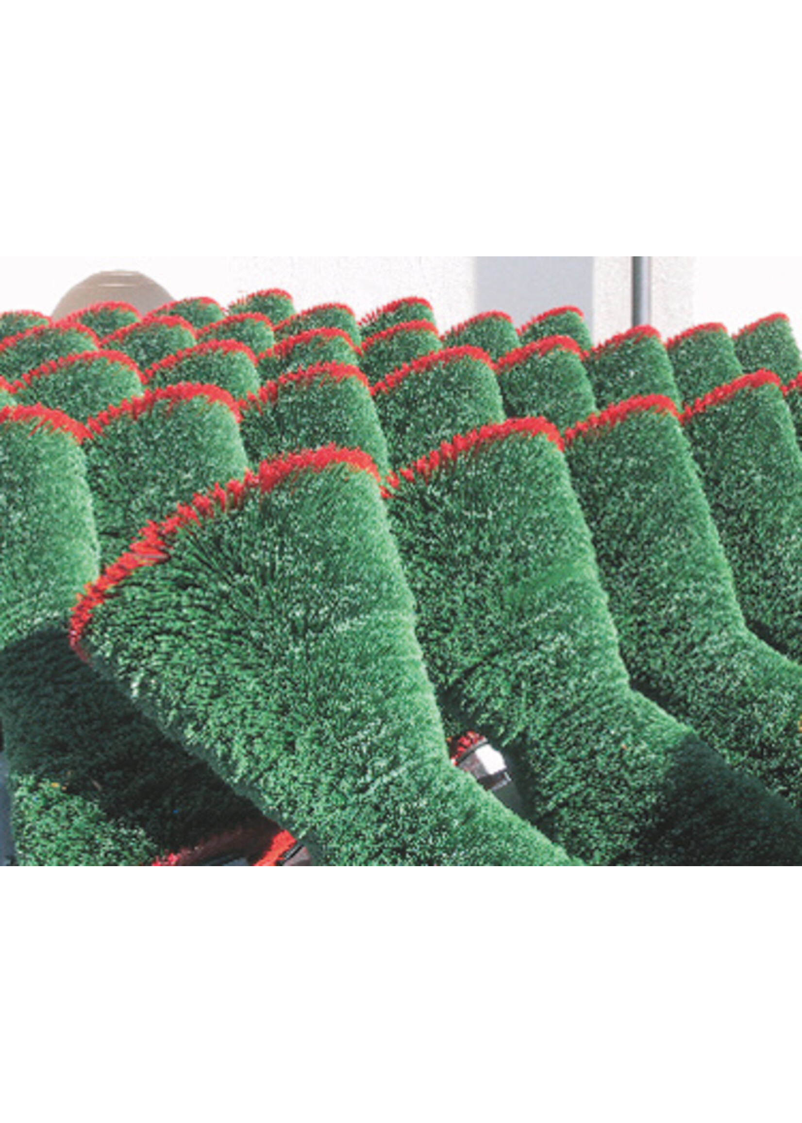 Borsteldeel ROOD v. COWcleaner(v.a.2004)