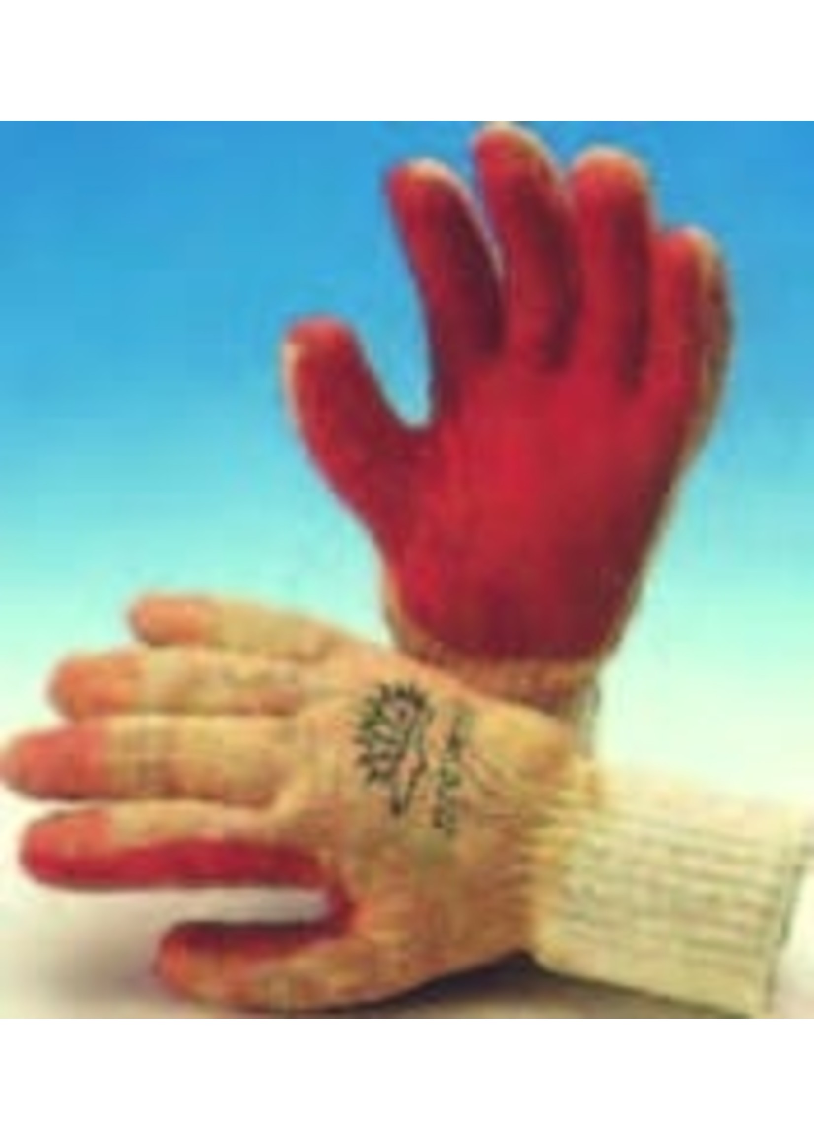 Handschoen PREVENT
