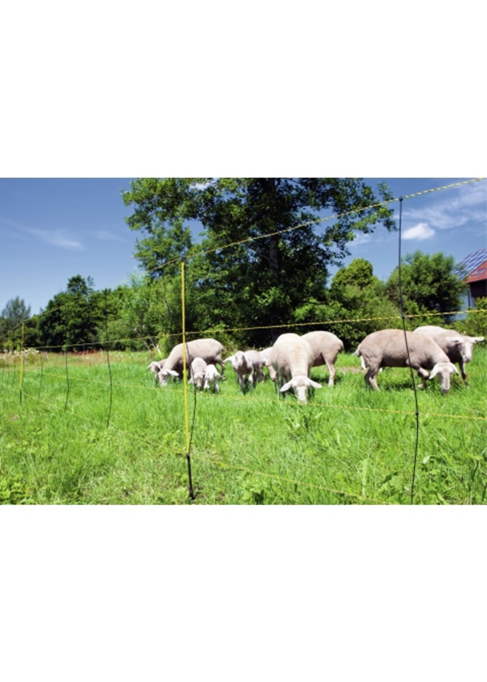 AKO Afrastering AKO EasyNet 105cm x 50m ENKELE PEN