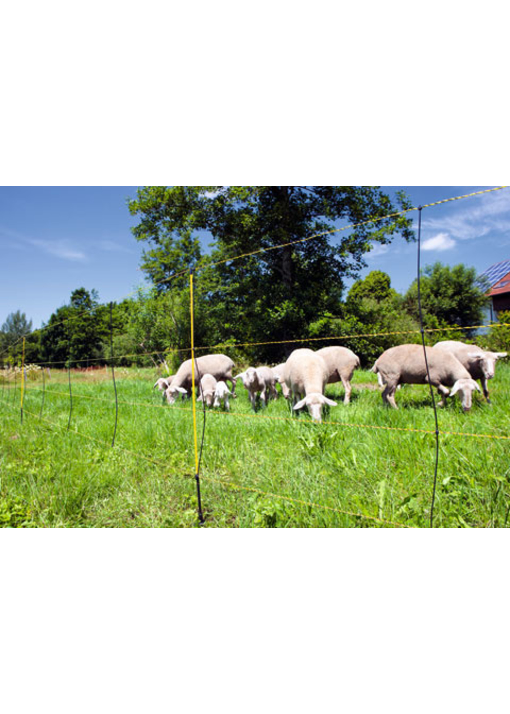 AKO Afrastering AKO Paaltje geel v. EasyNet schapennet enkele pen