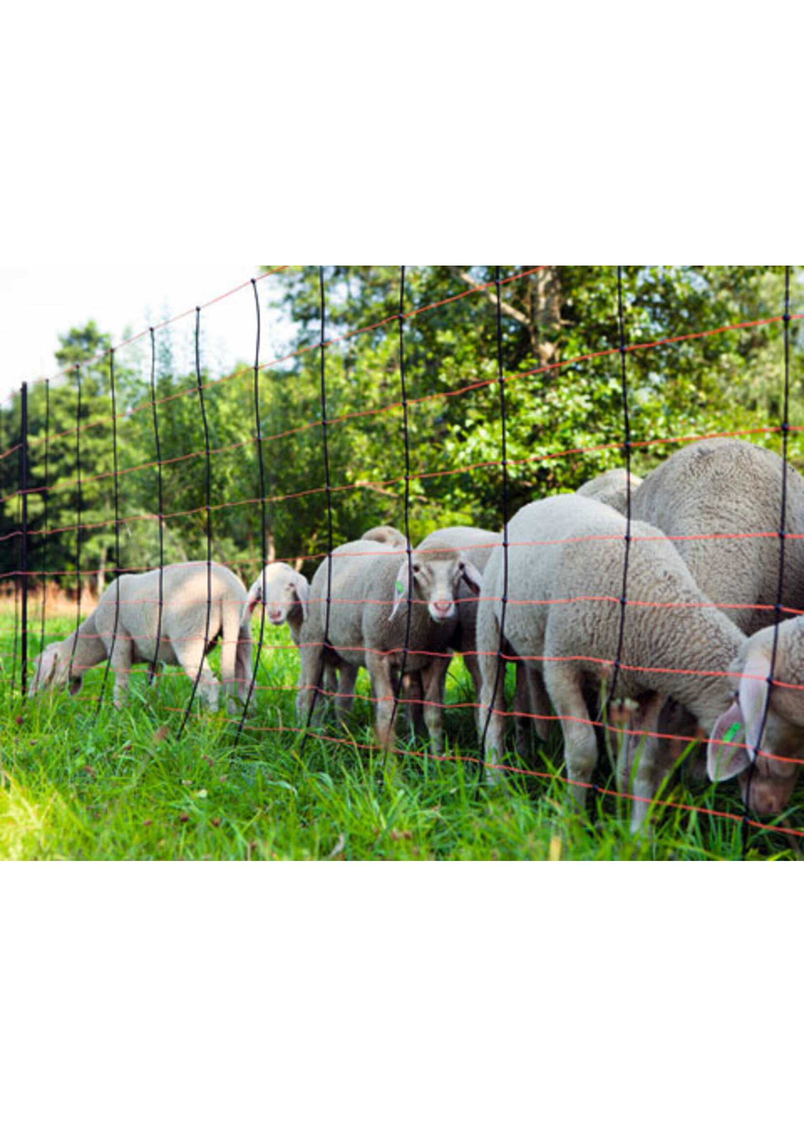 AKO Afrastering AKO Schapennet -TITAN- 108cm x 50m ENKELE PEN