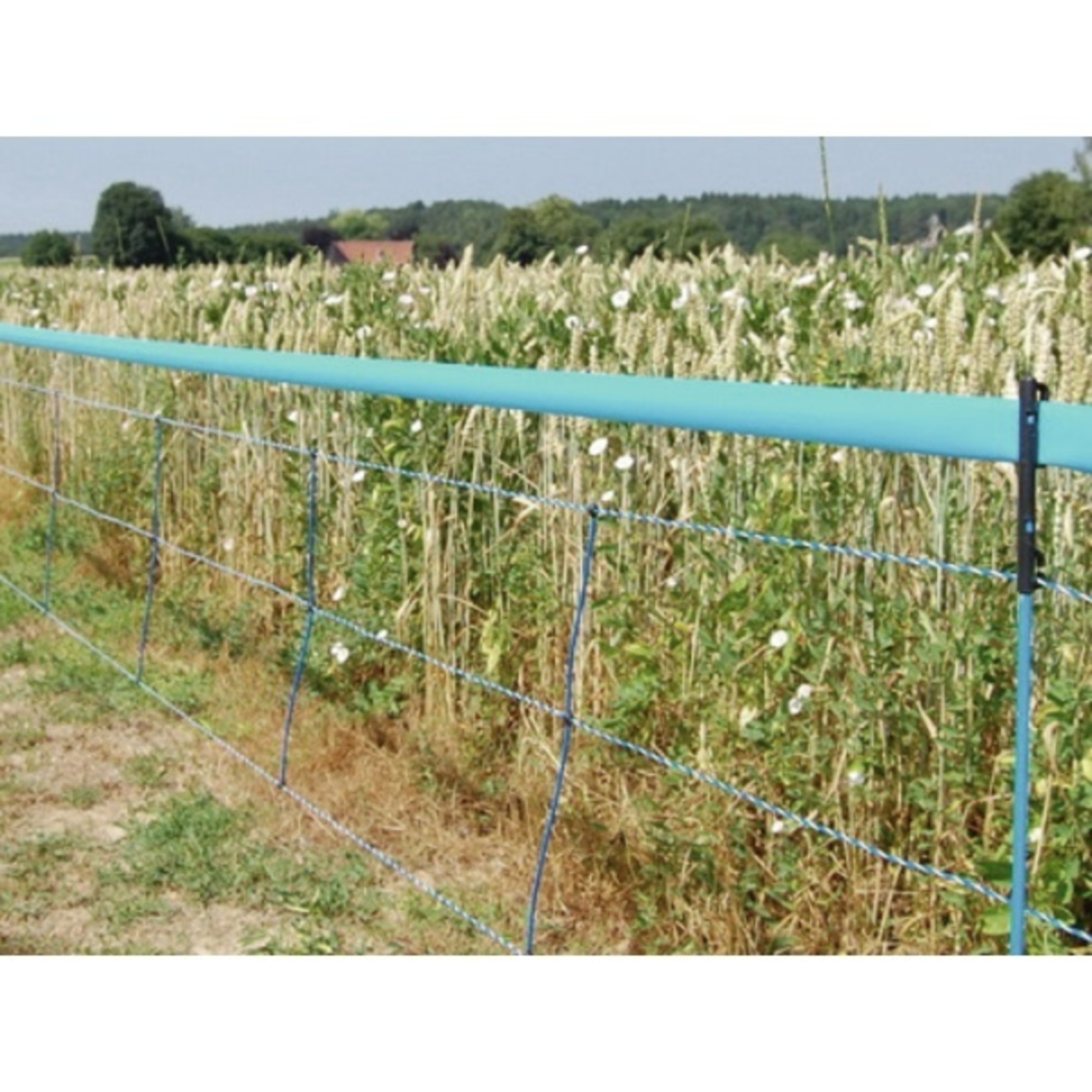 AKO Afrastering AKO WildNet 75cm x 50m ENKELE PEN