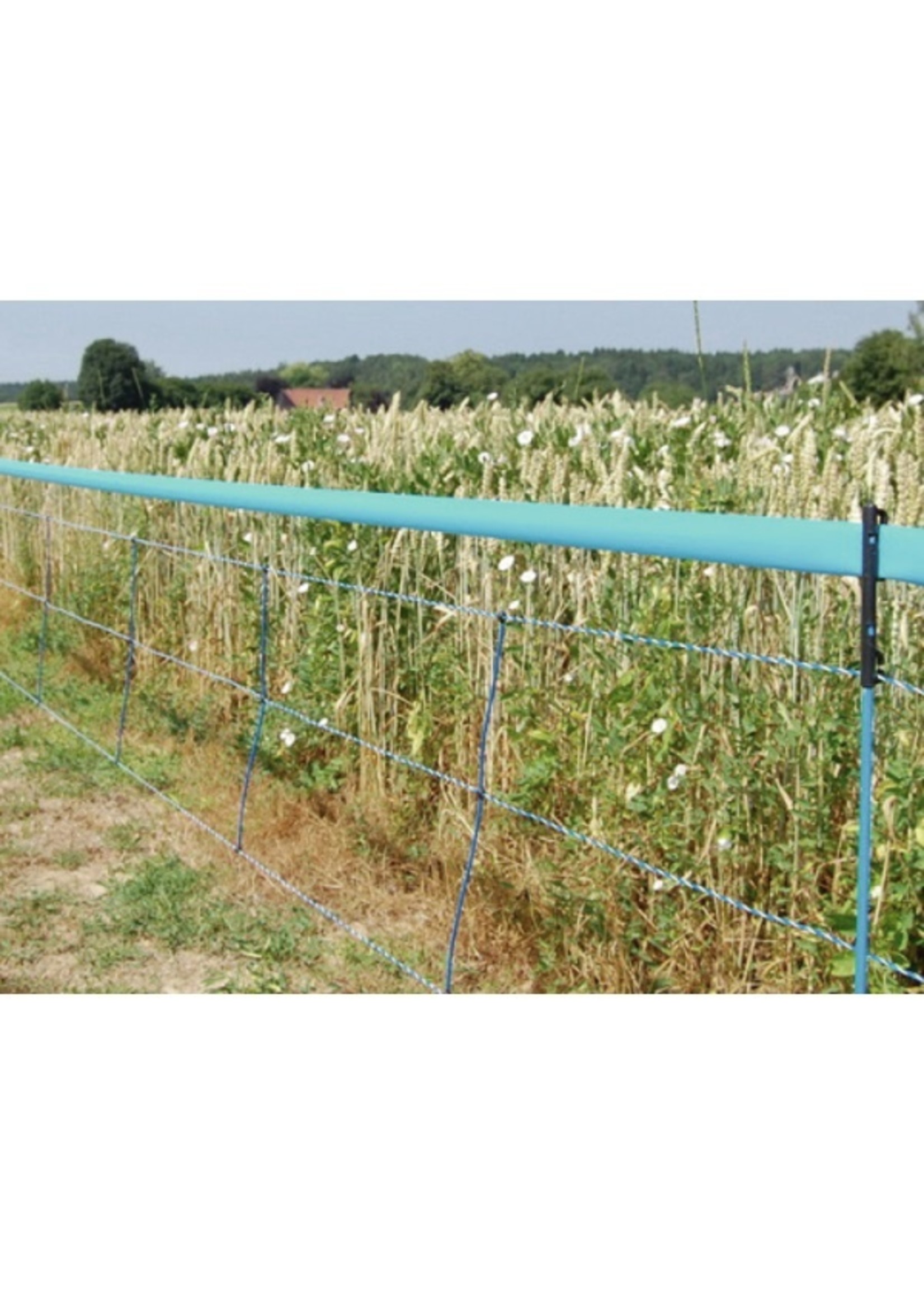 AKO Afrastering AKO WildNet 75cm x 50m ENKELE PEN