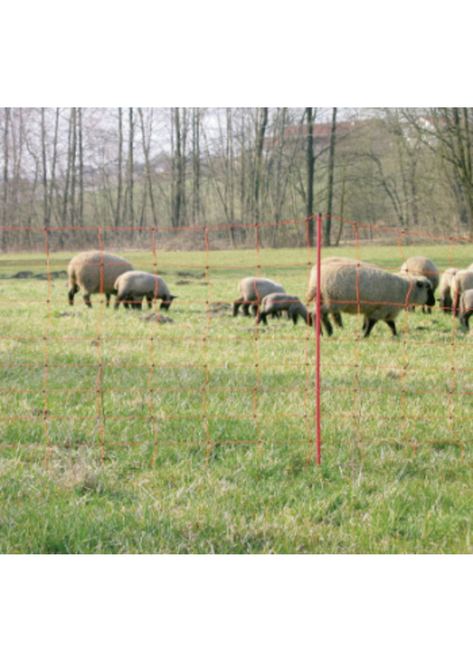 AKO Afrastering AKO Schapennet OviNet Oranje 90cm x 50m DUBBELE PEN