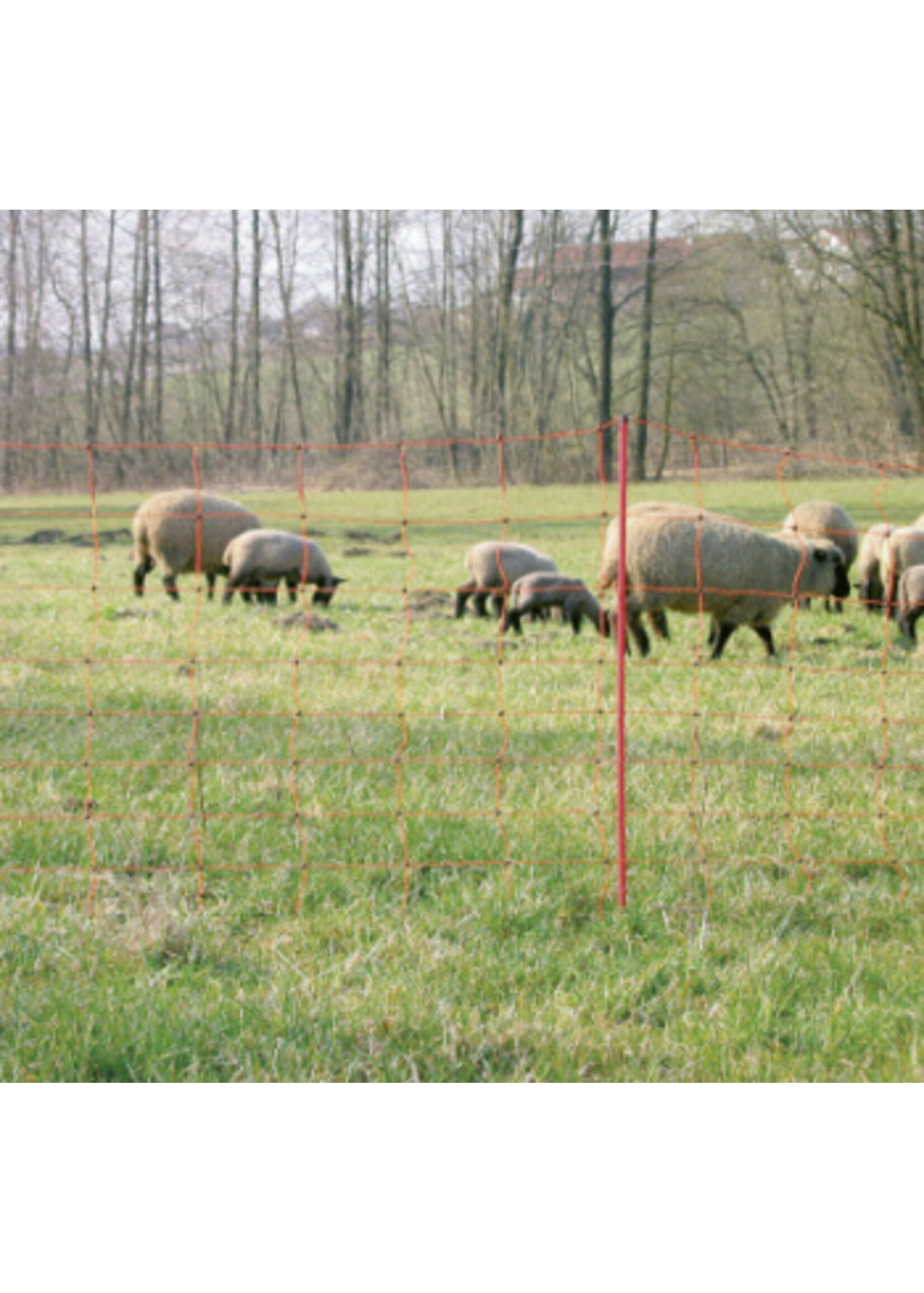 AKO Afrastering AKO Schapennet OviNet Oranje 108cm x 50m ENKELE PEN