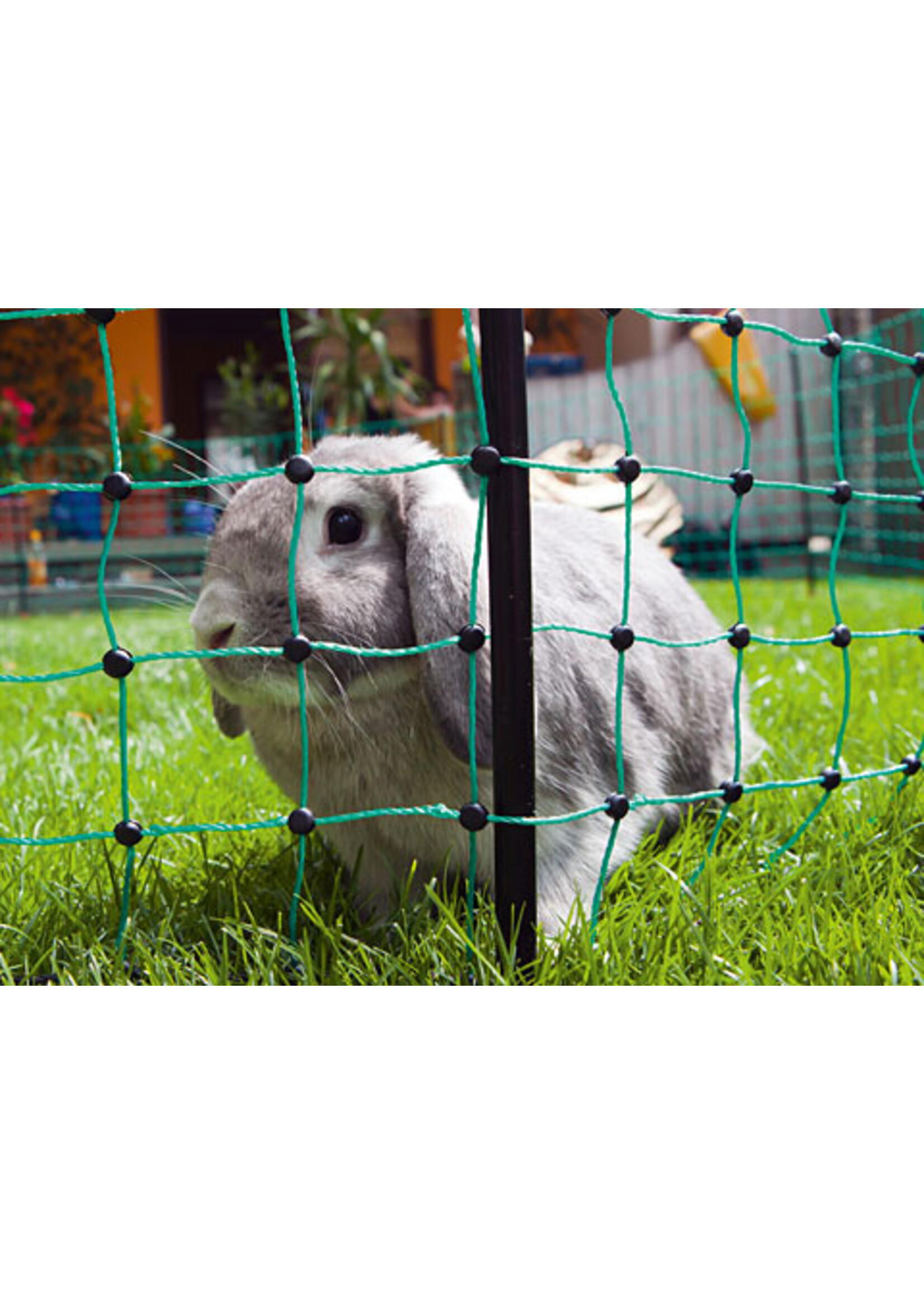 AKO Afrastering AKO Paaltje zwart v. konijnennet enkele pen