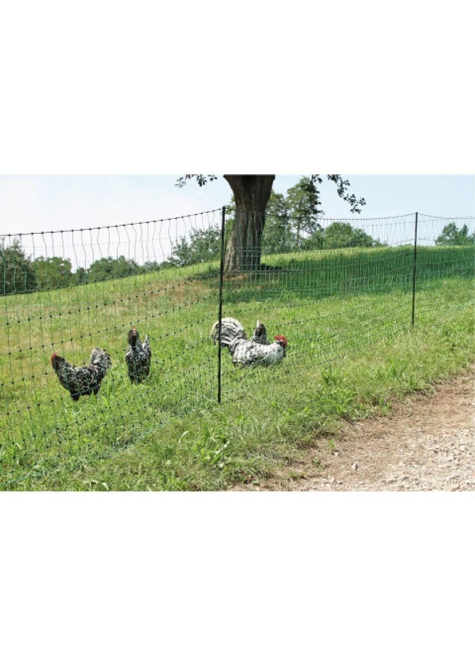 AKO Afrastering AKO Kippennet 112cm-25m. dubbele pen -GROEN-