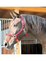 Mustang halster 2x verstelbaar rood/zwart