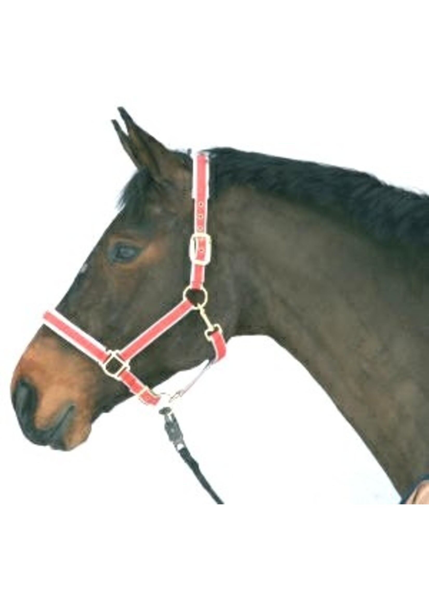 Luxe halster nylon/leer rood