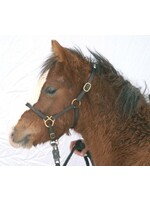Veulenhalster Leer, bruin