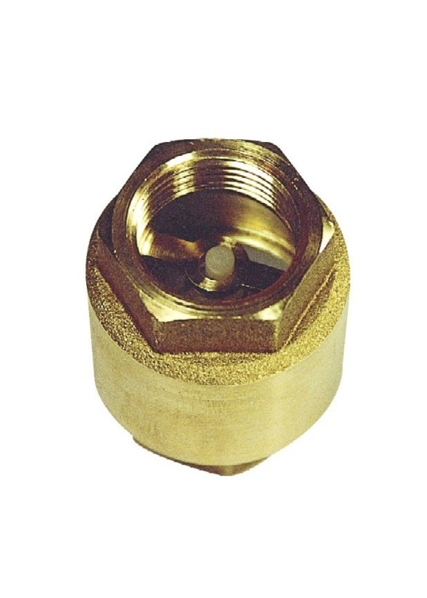 Veerbelaste TUSSENKLEP 1"