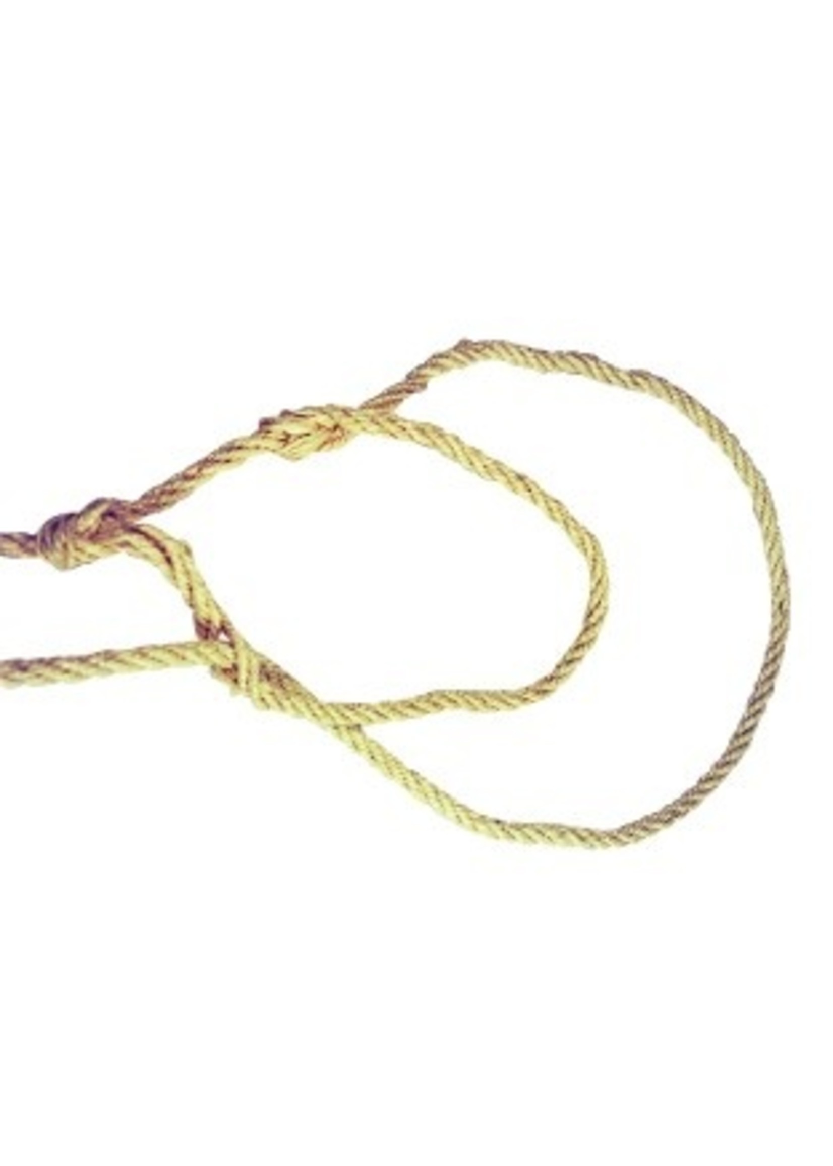 Stierenhalsters met touwtje