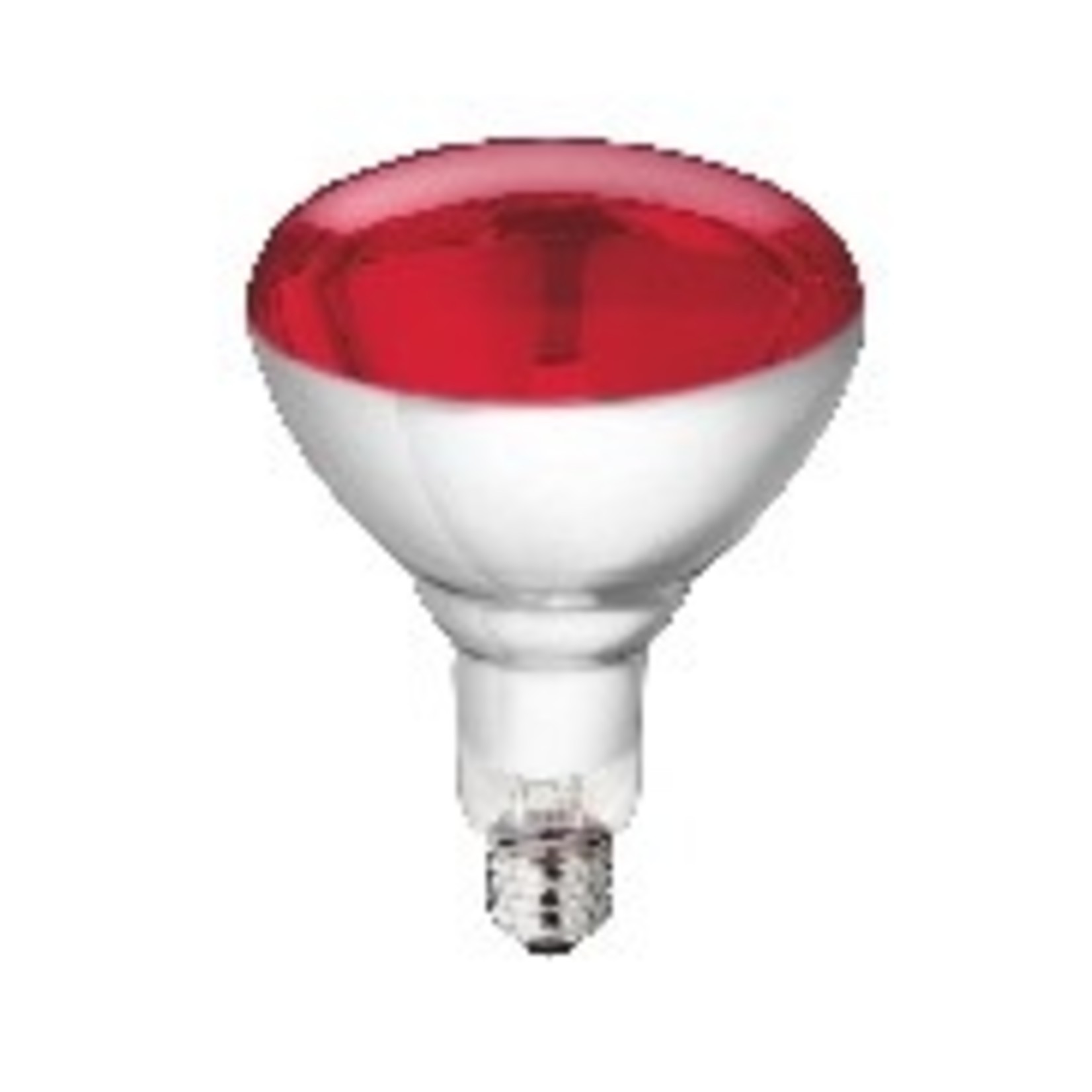 Warmtelamp 250w. rood