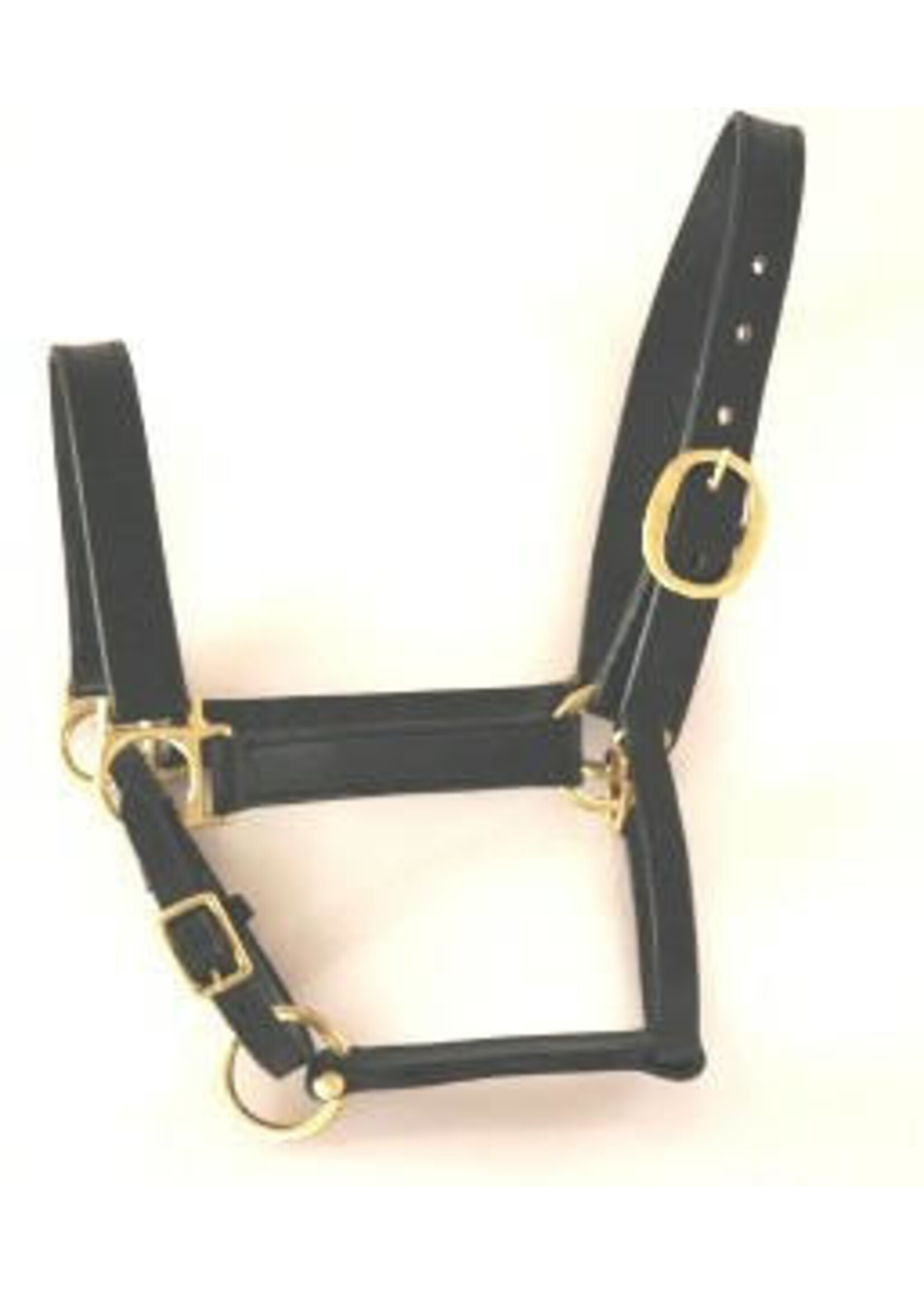 Warmbloed halster leer BRUIN