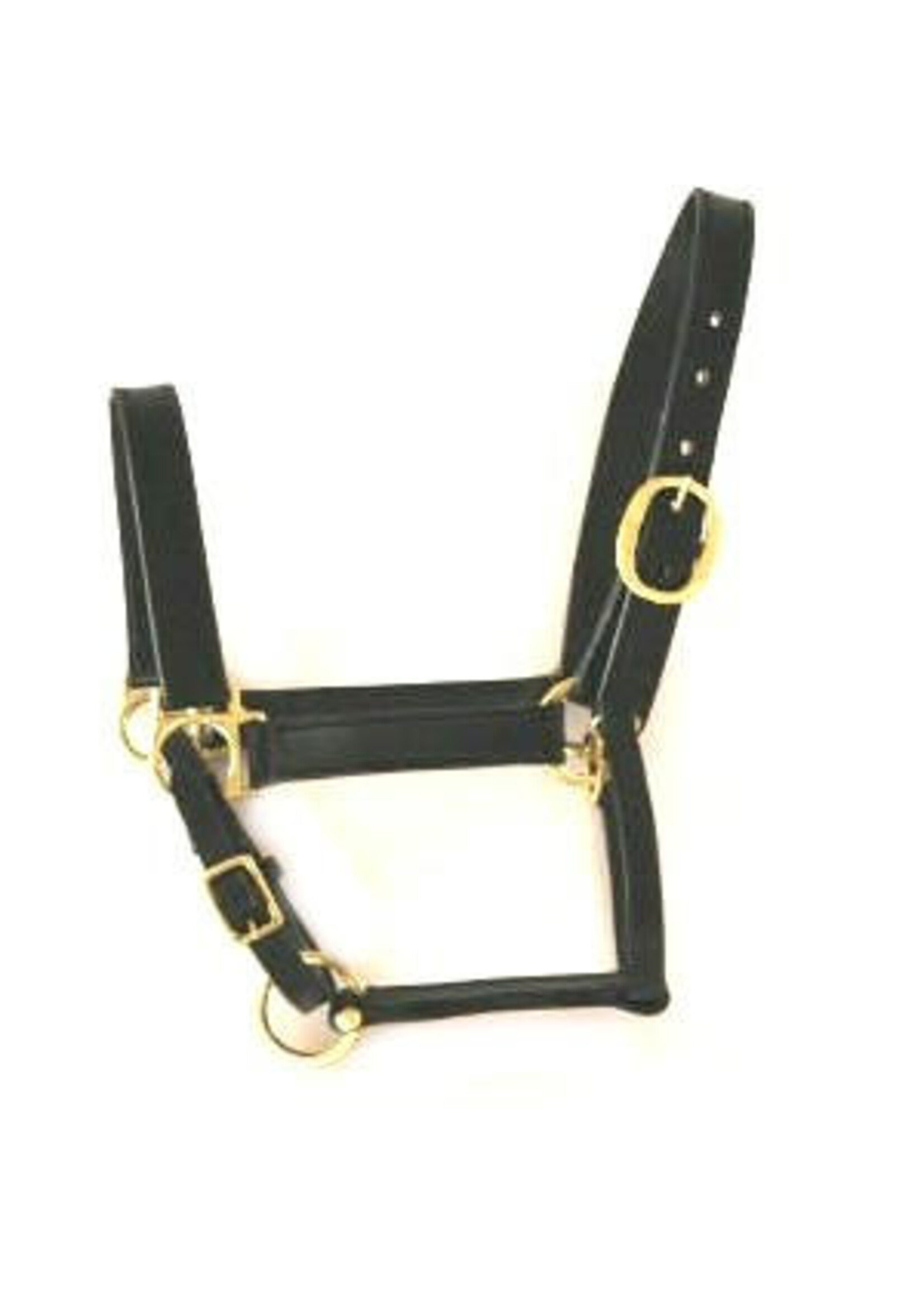 Pony halster leer ZWART