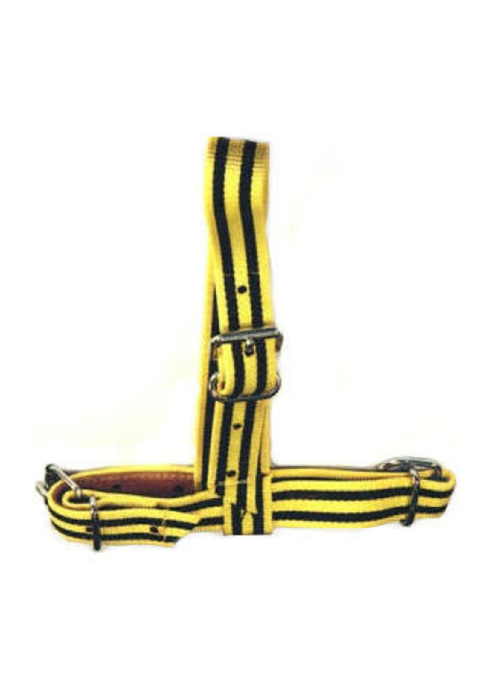 Keuringshalster geel/zw kalf (NO.3)