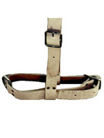 Stierenhalster leer met keelband