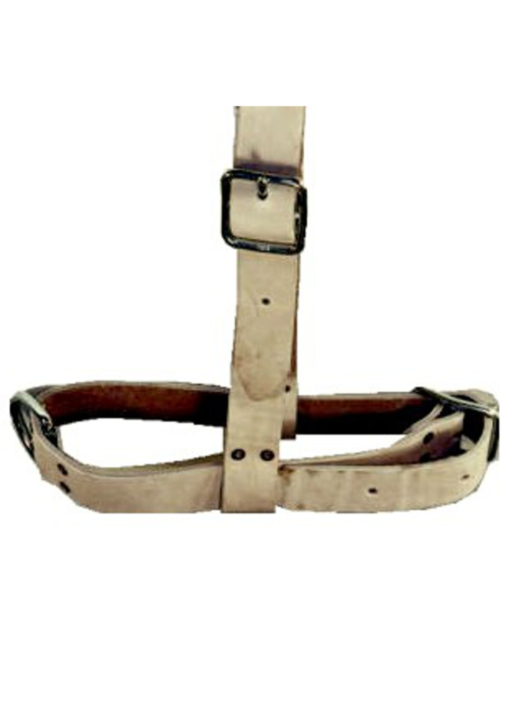 Stierenhalster leer met keelband