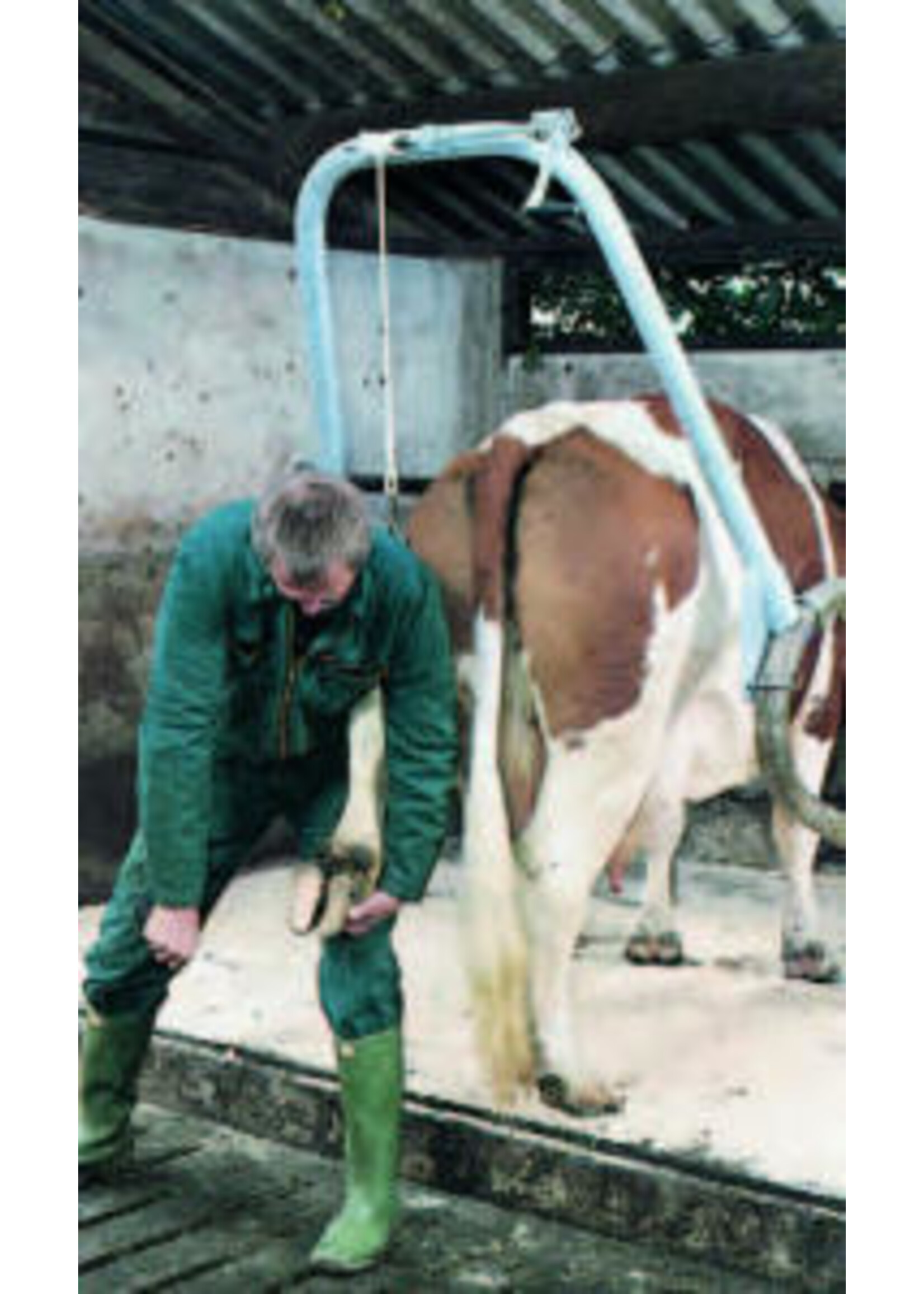 Hoefbekapbeugel -Vink- compleet