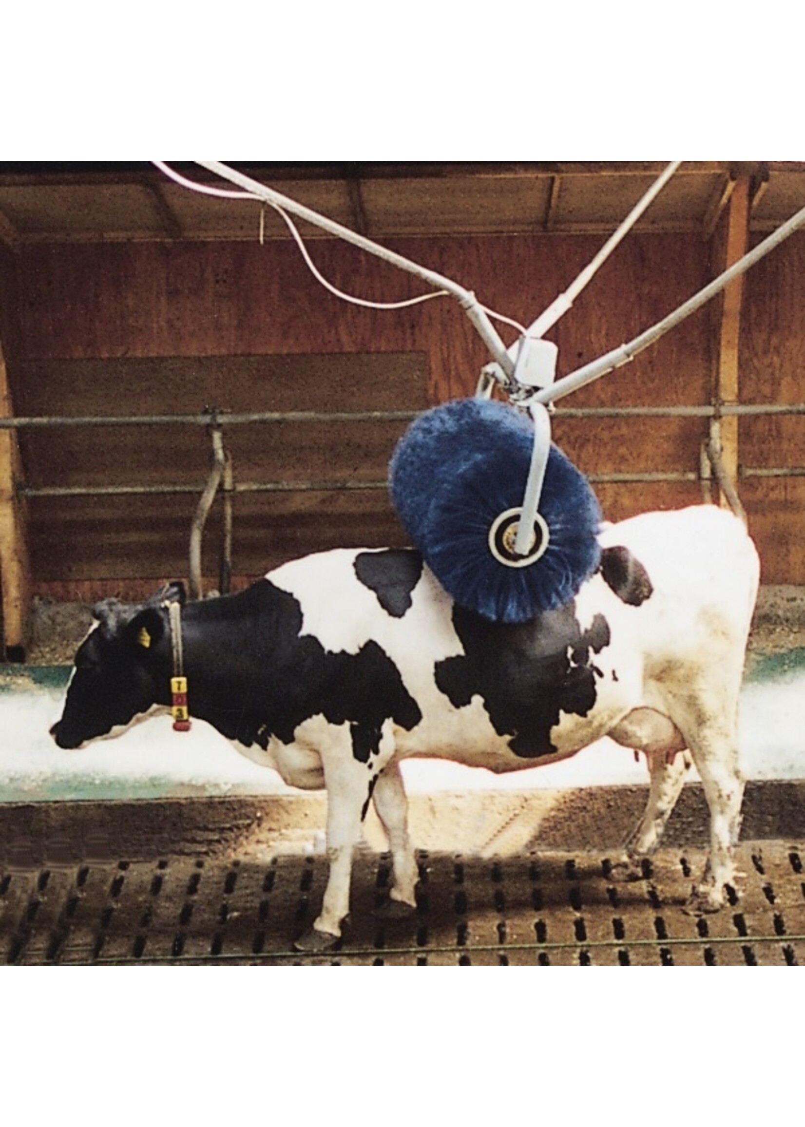 Roterende veeborstel -Vink-