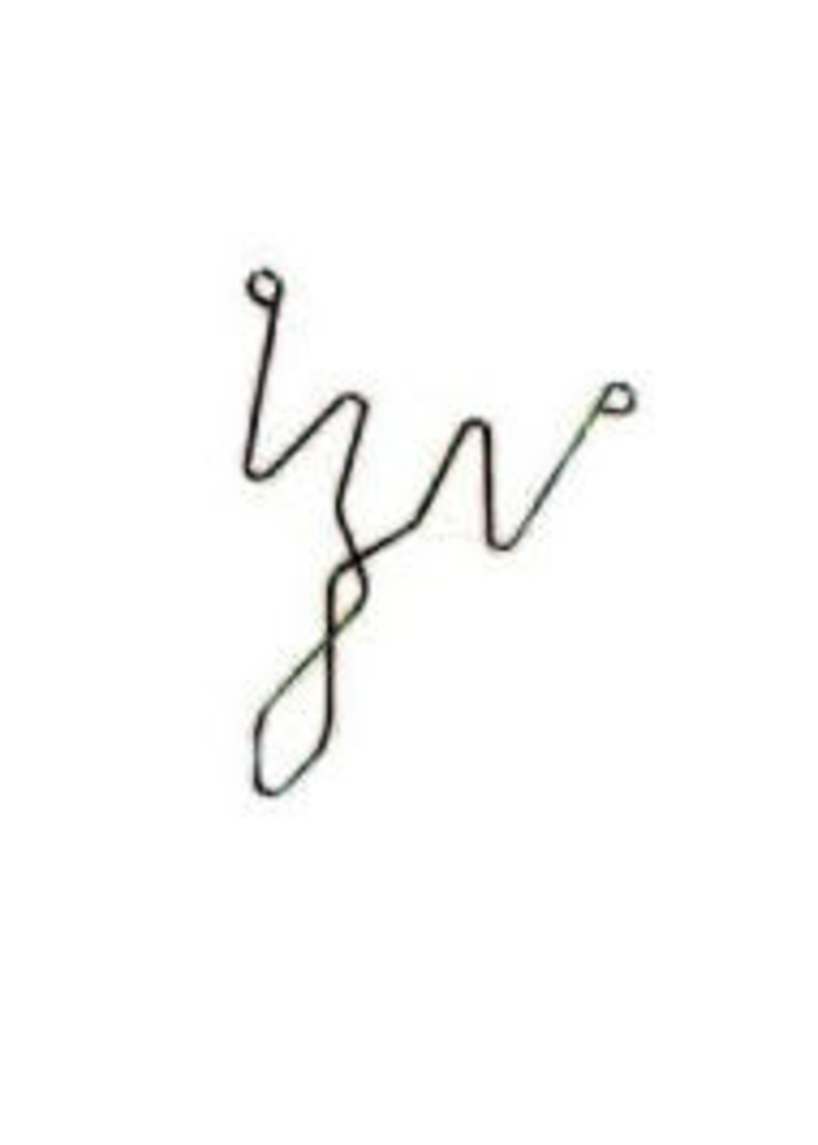 Eider W-veer voor koetrainer