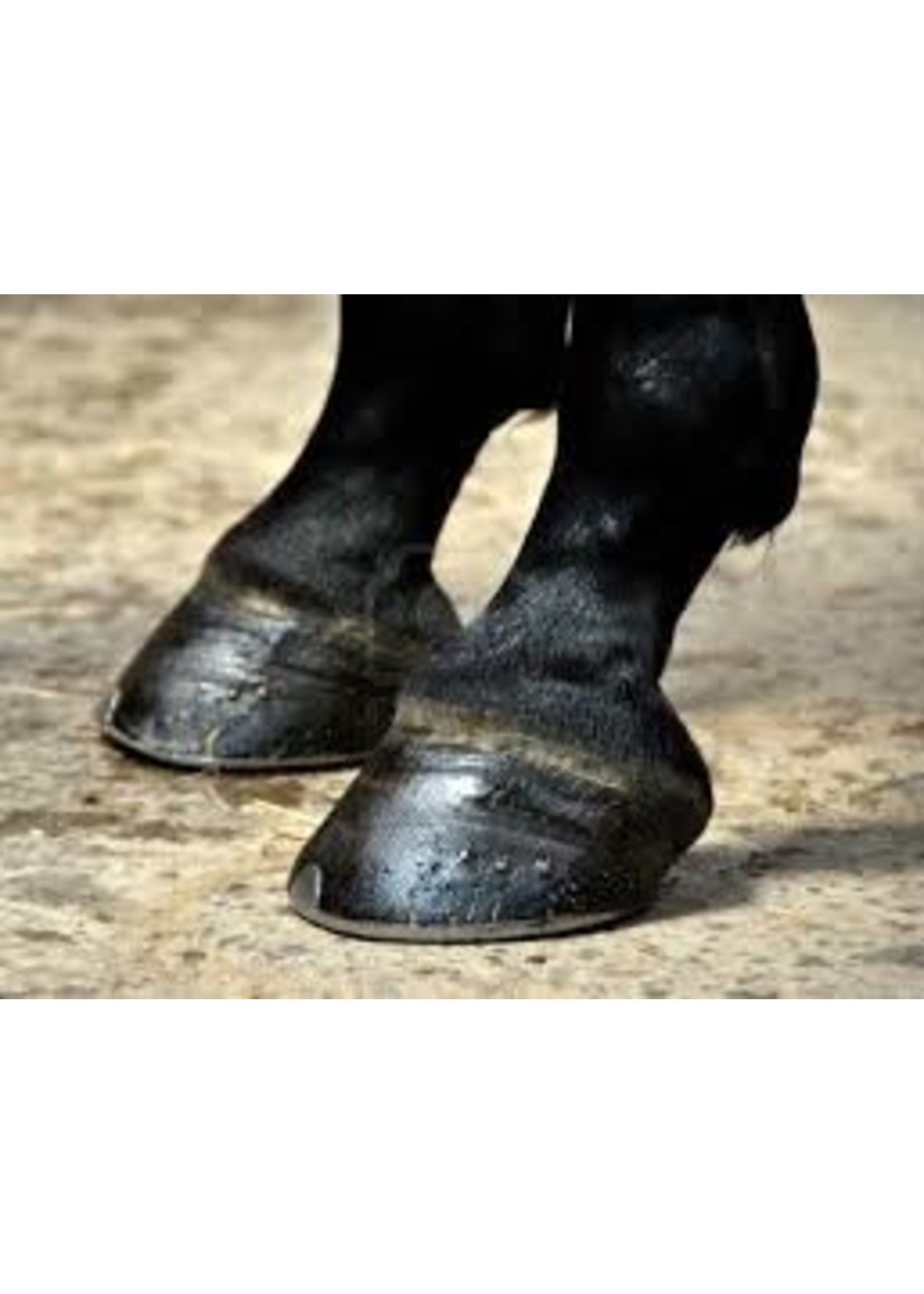 DP Duo Protection 1000 ml.