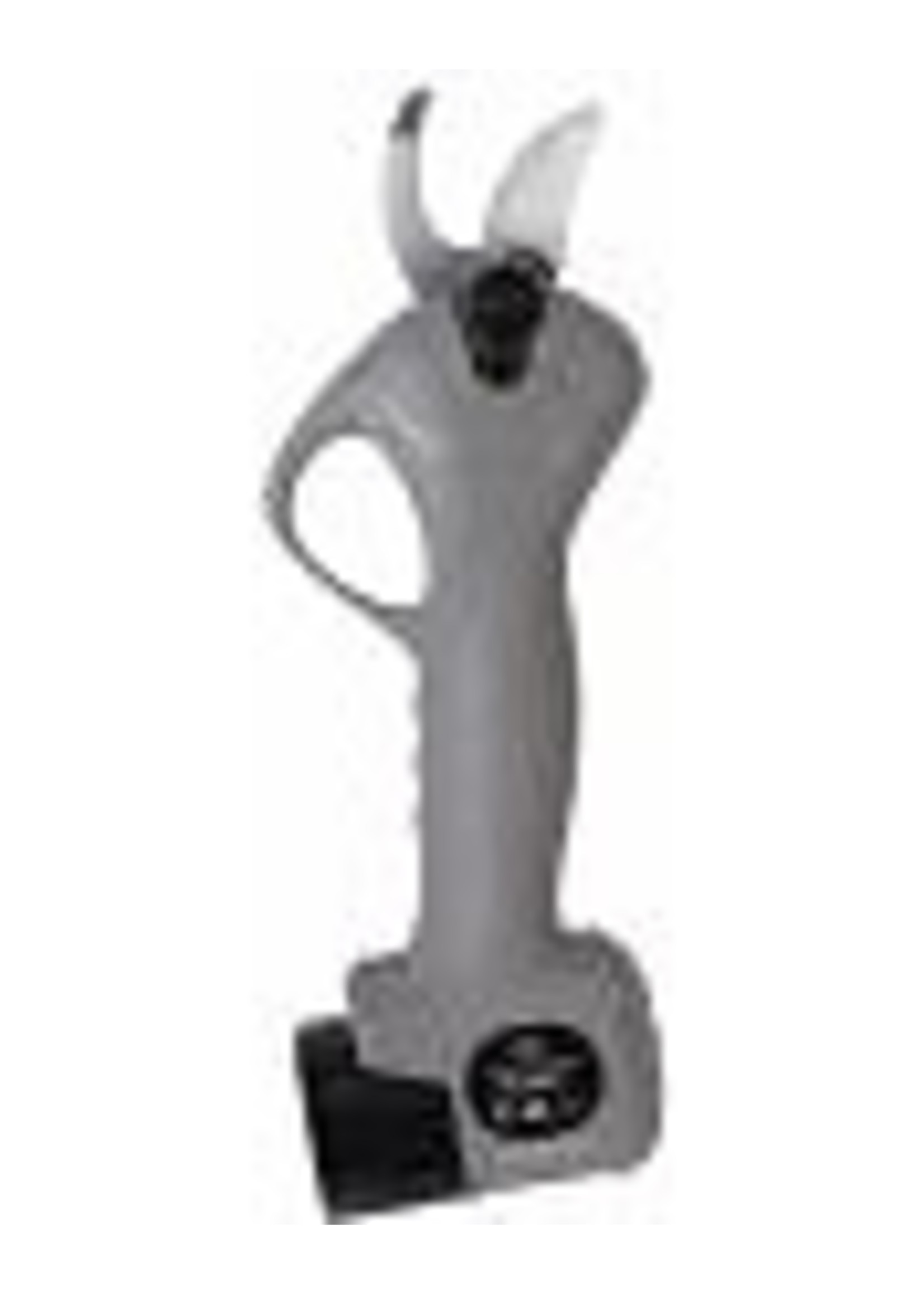 Talen Tools Snoeischaar professioneel elektrisch