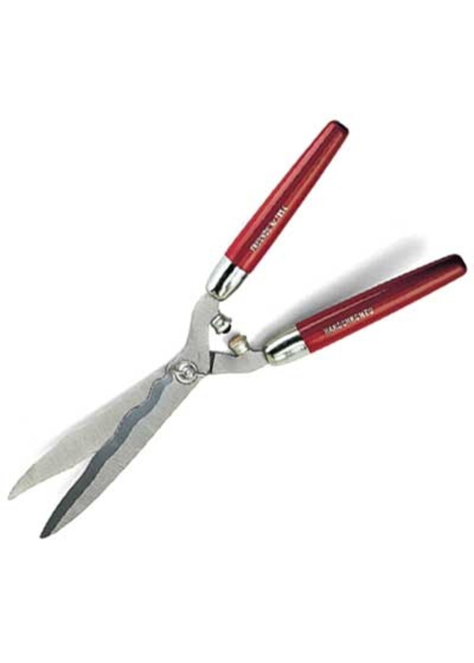 Freund Heggenschaar 1954 Freund