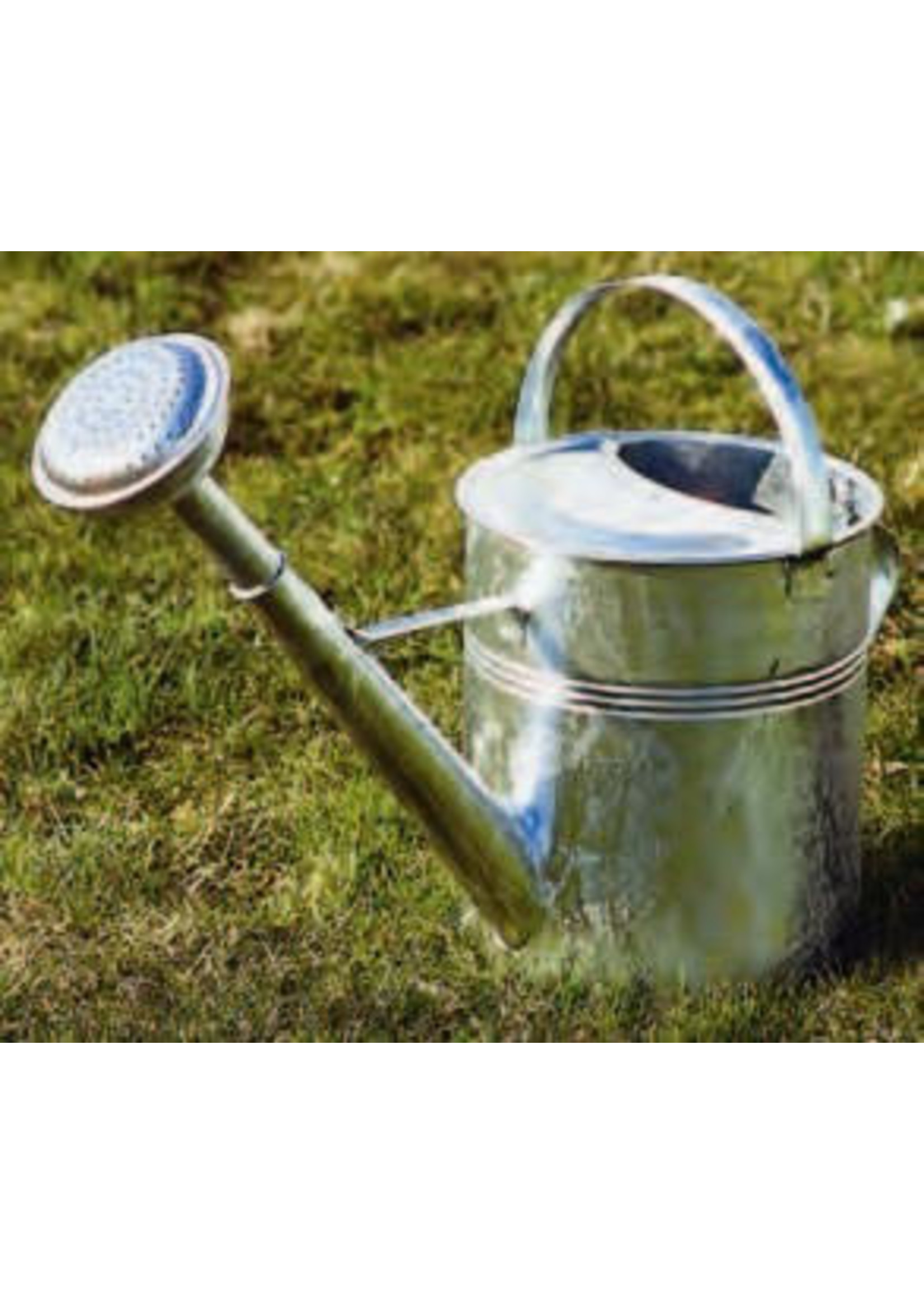 Gieter verzinkt, met broes, 9L