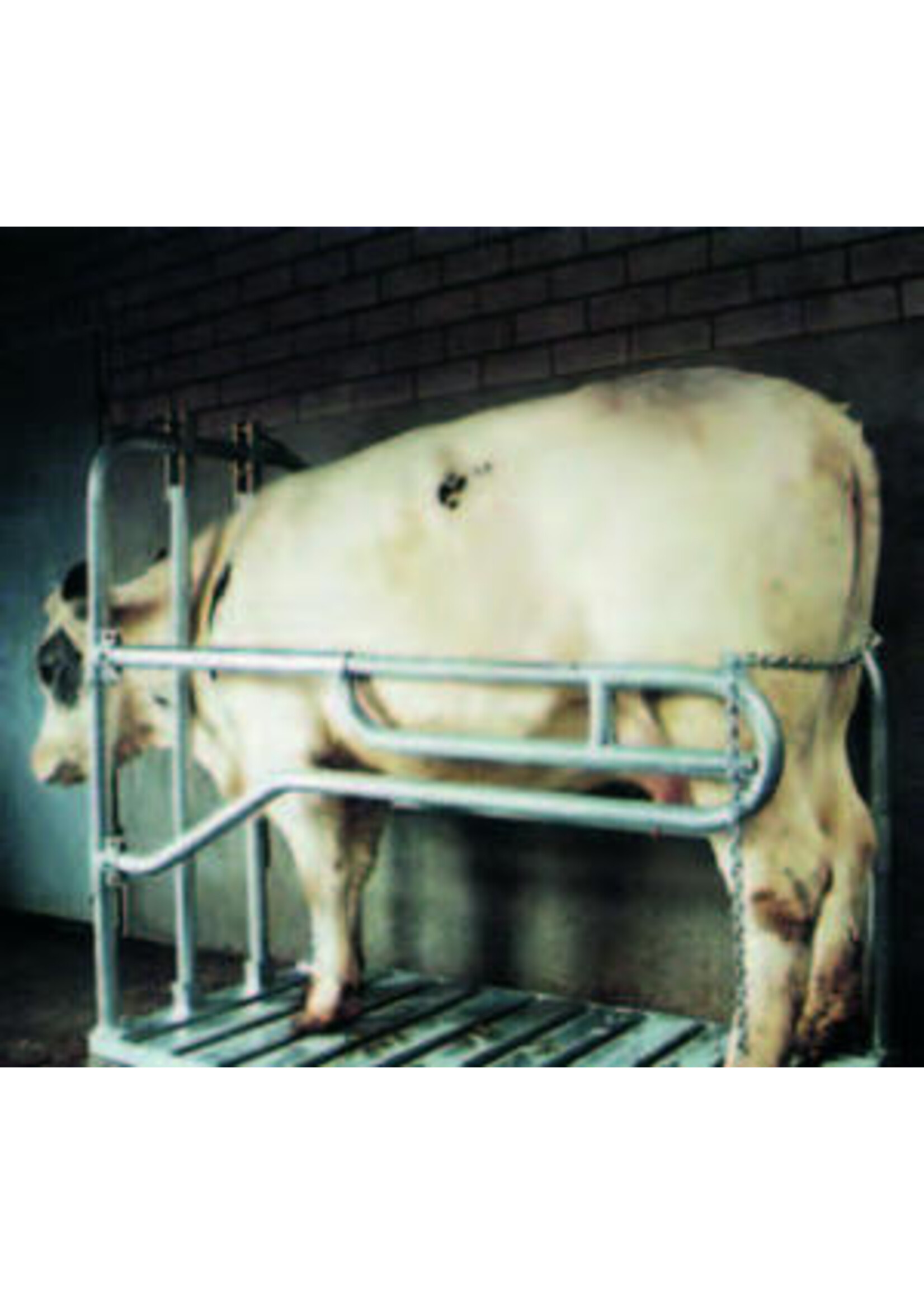 Keizersnedebox verzinkt -Vink-