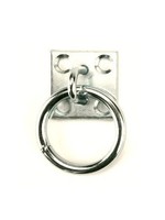 Muurplaat met ring, 8mm, RVS