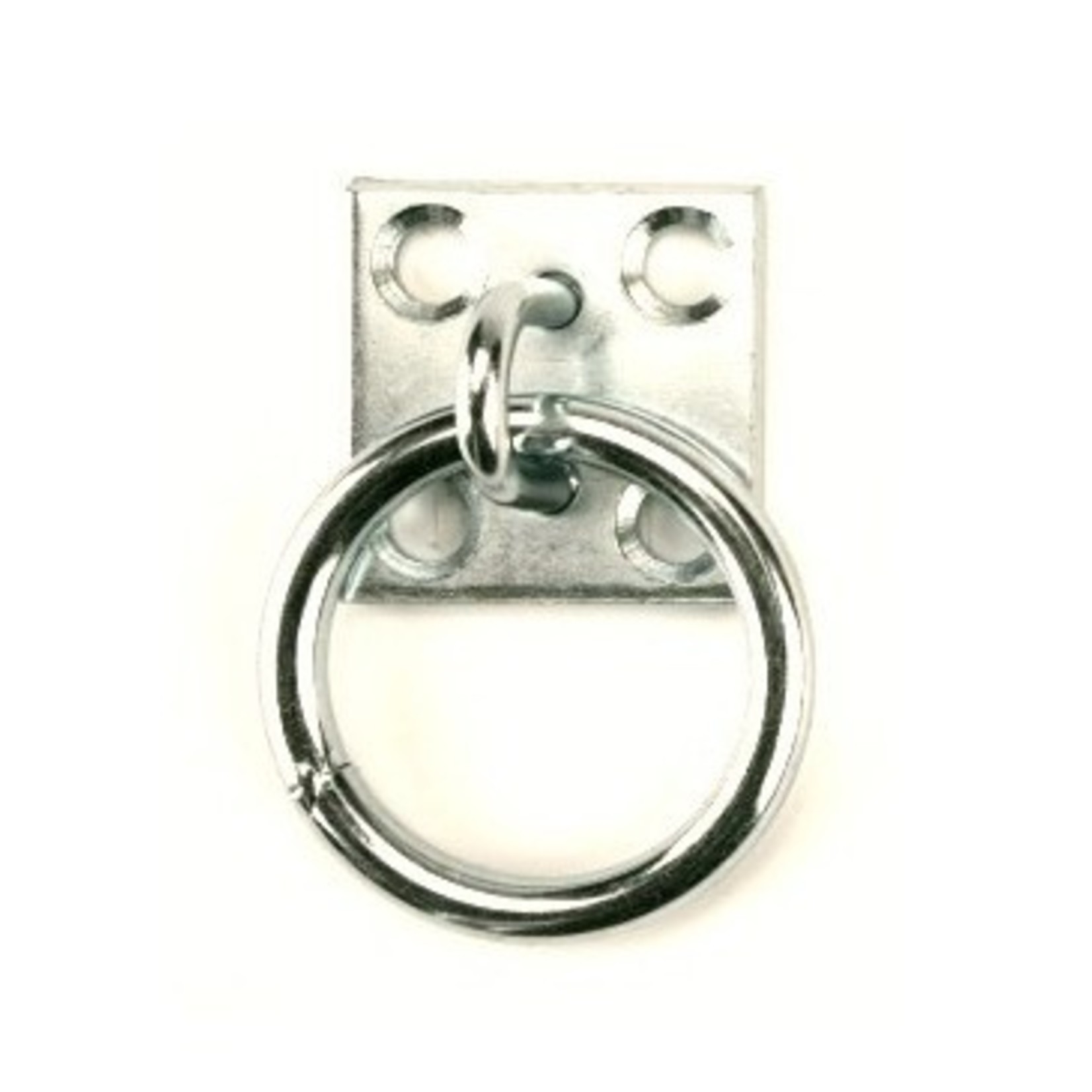 Muurplaat met ring, 8mm, RVS