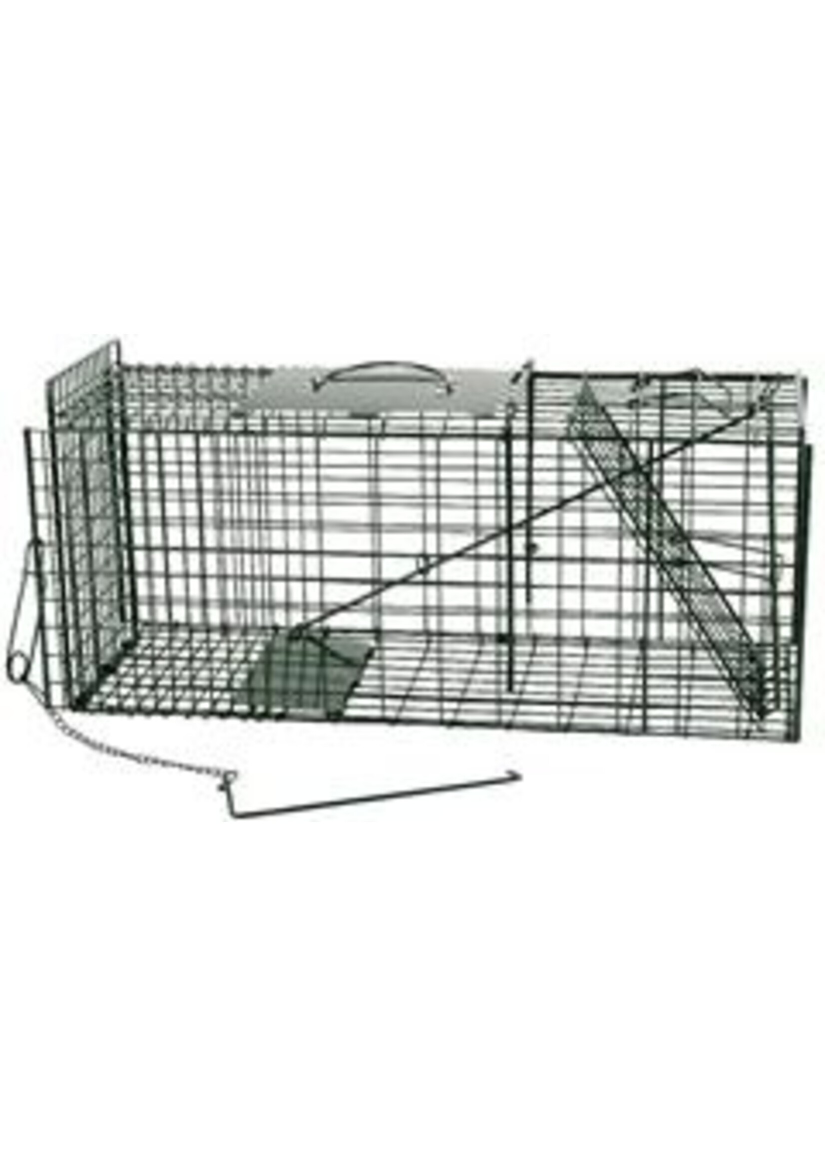 Vangkooi verzinkt + poedercoating groen