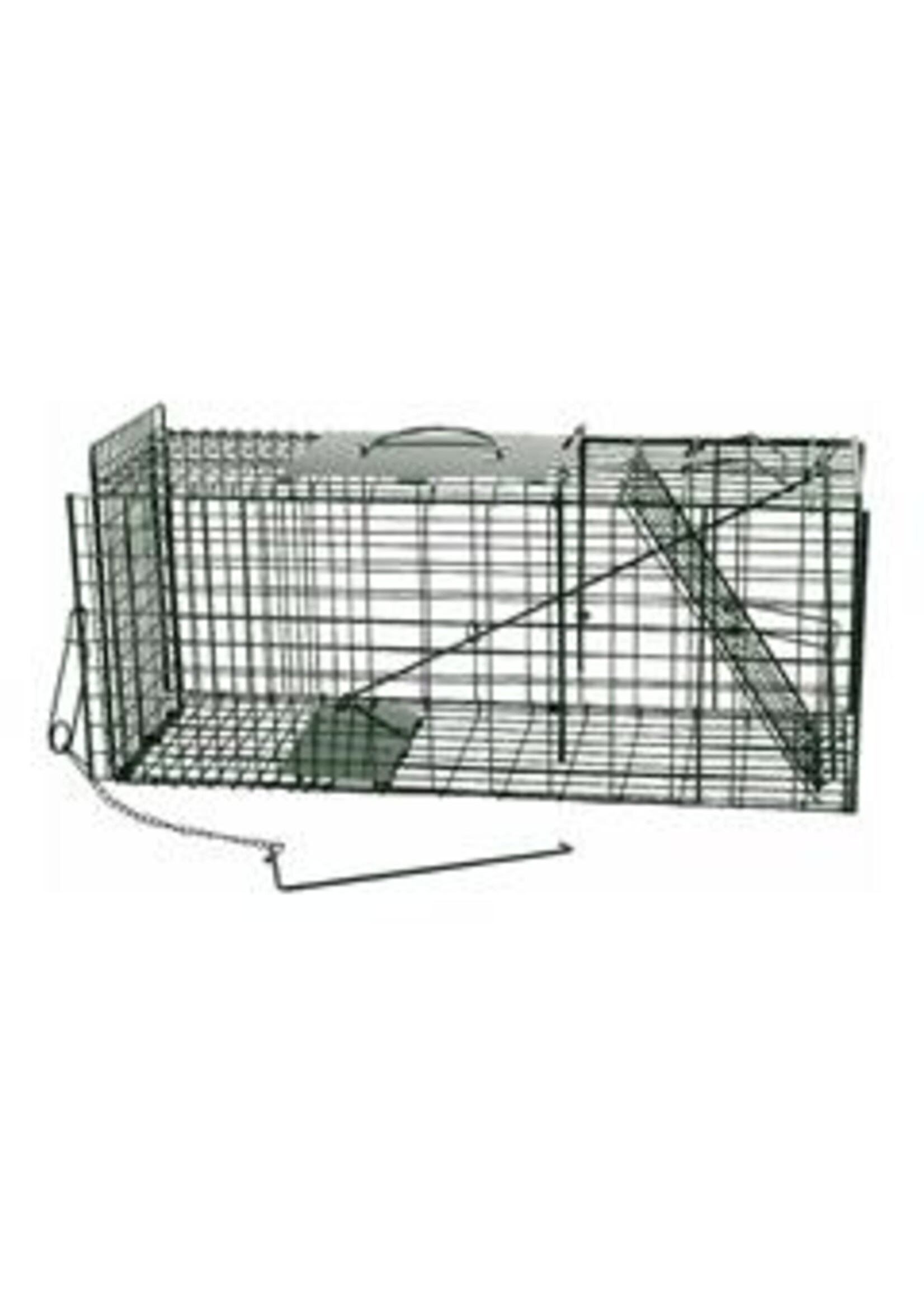 Vangkooi verzinkt + poedercoating groen