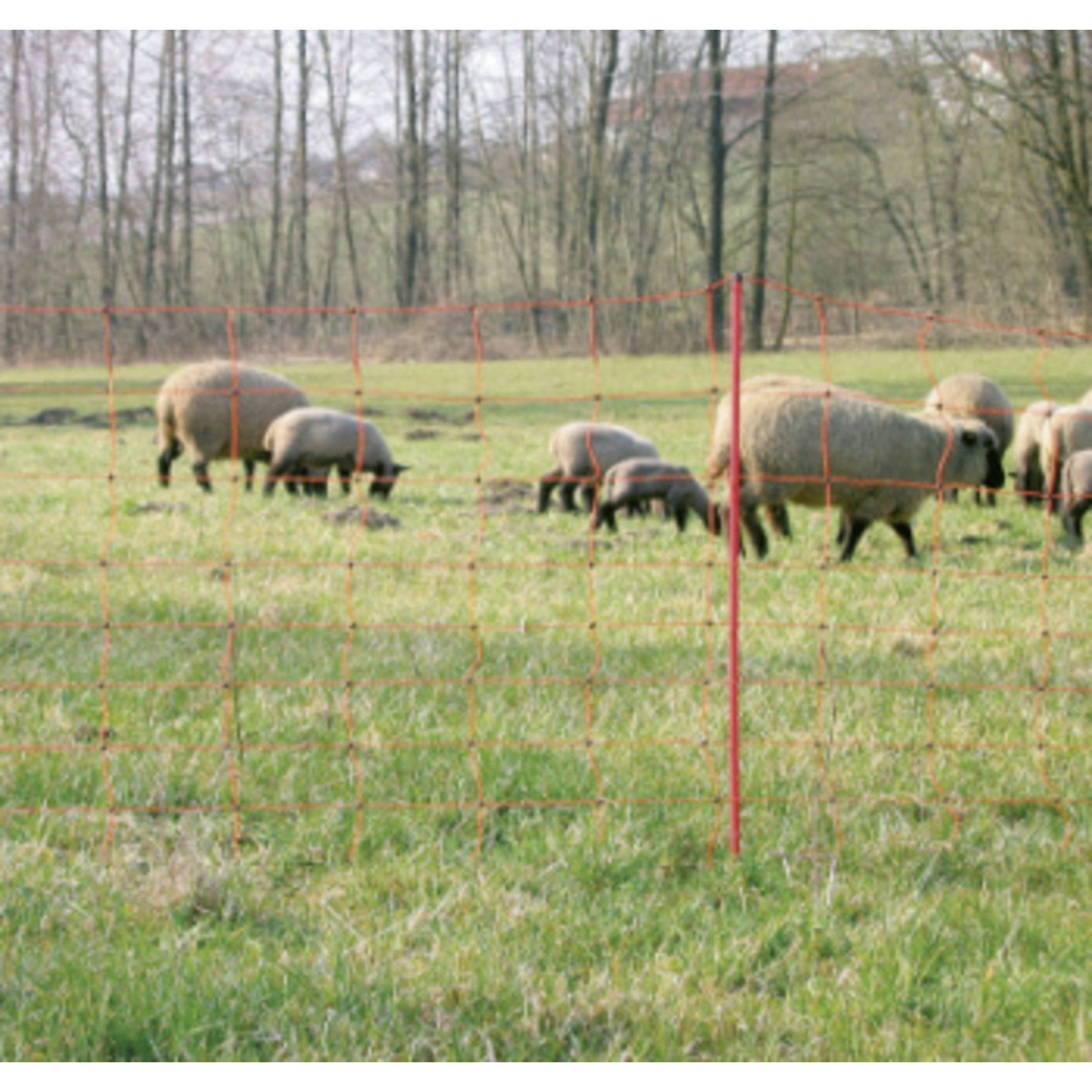 AKO Afrastering AKO Schapennet OviNet GROEN 90cm x 50m ENKELE PEN