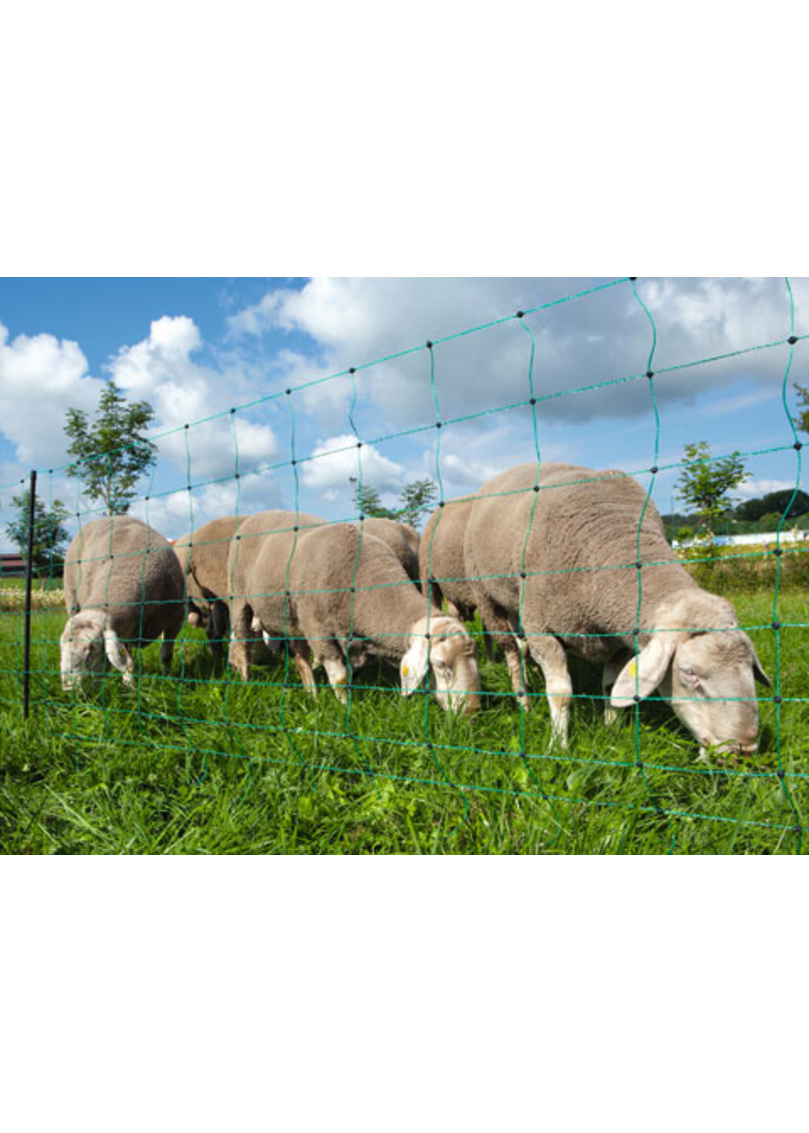 AKO Afrastering AKO Schapennet OviNet GROEN 90cm x 50m DUBBELE PEN