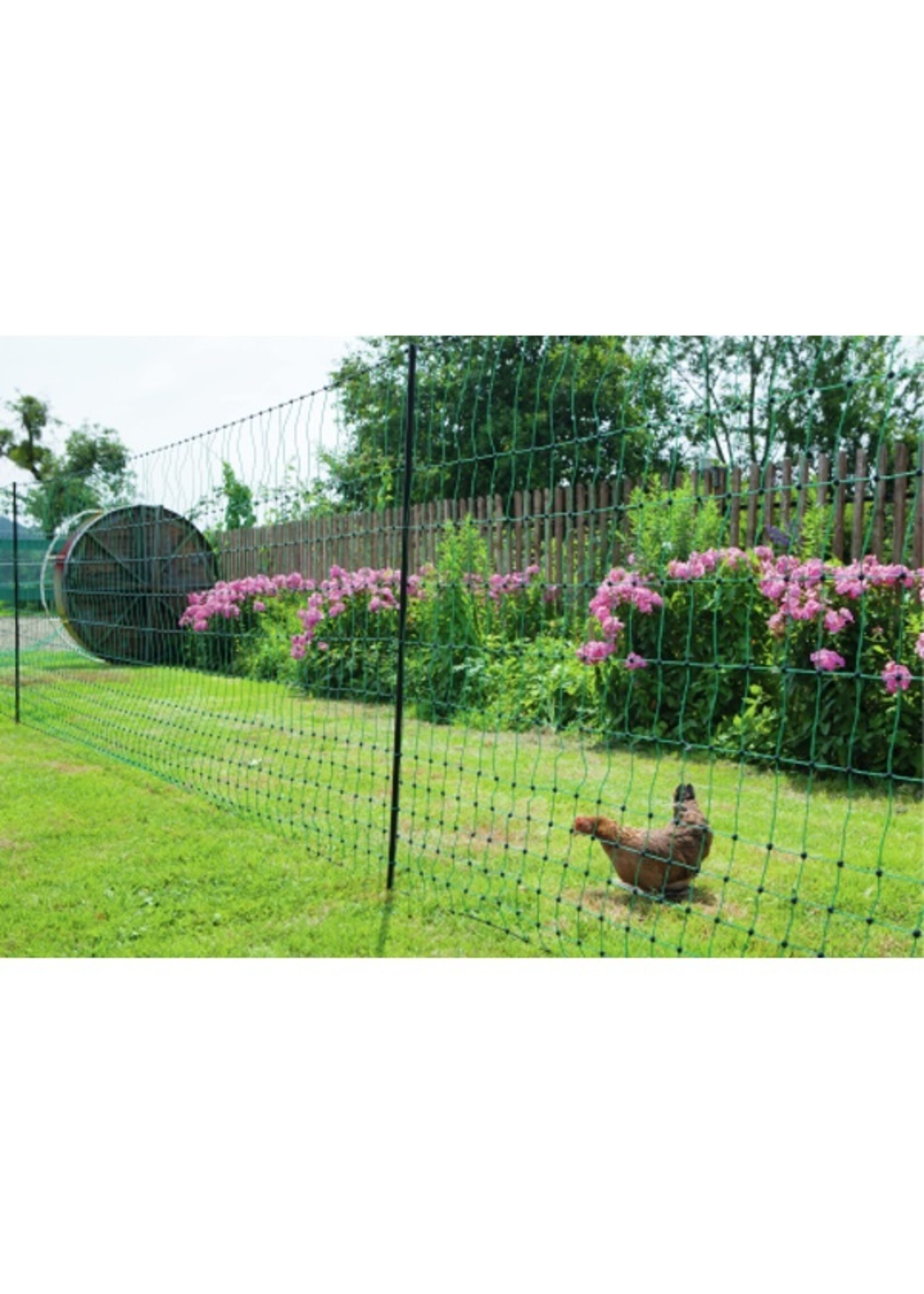 AKO Afrastering AKO Kippennet (zonder stroom) 112cm-50m. enkele pen -GROEN-