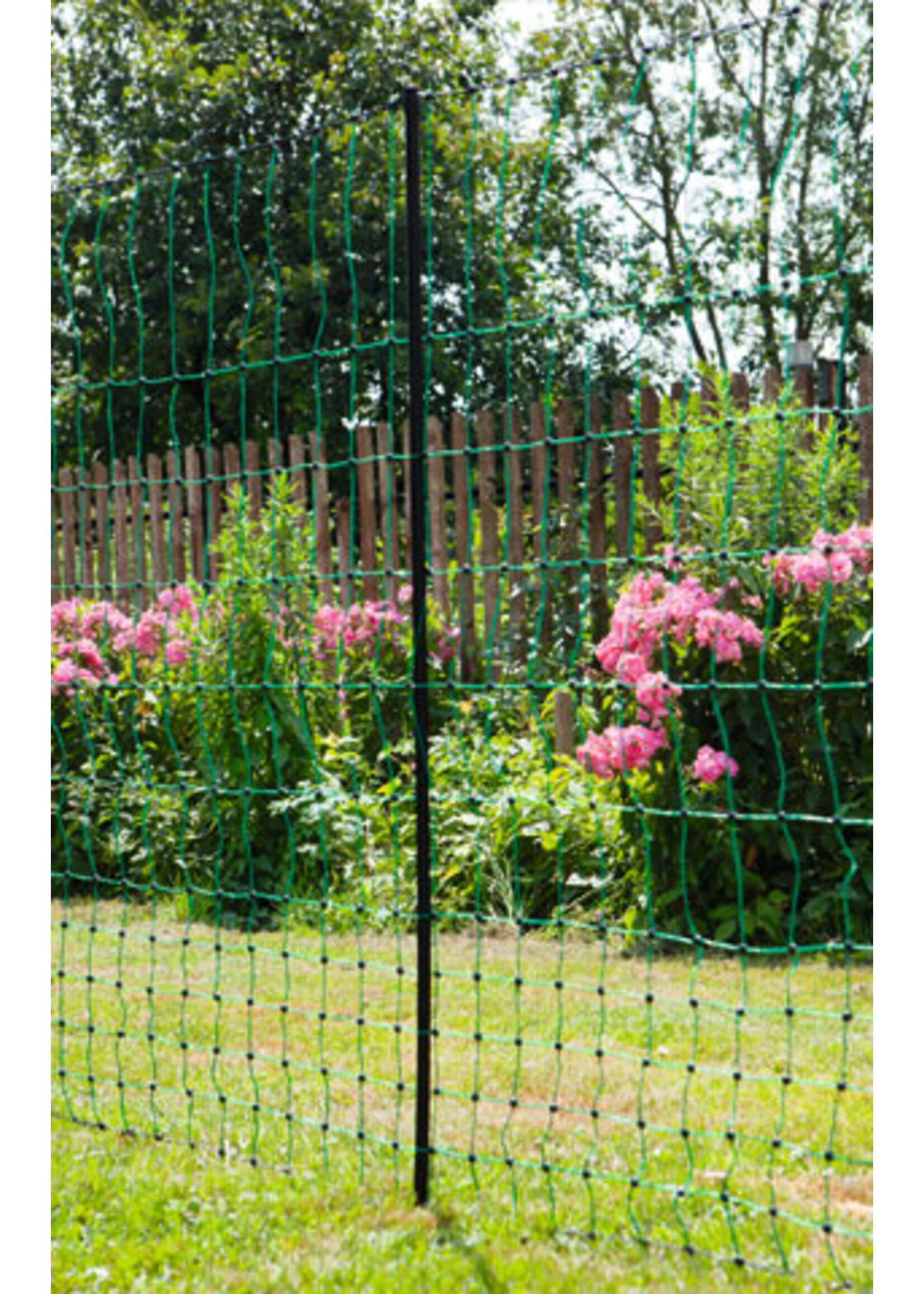 AKO Afrastering AKO Paaltje zwart v. Kippennet enkele pen