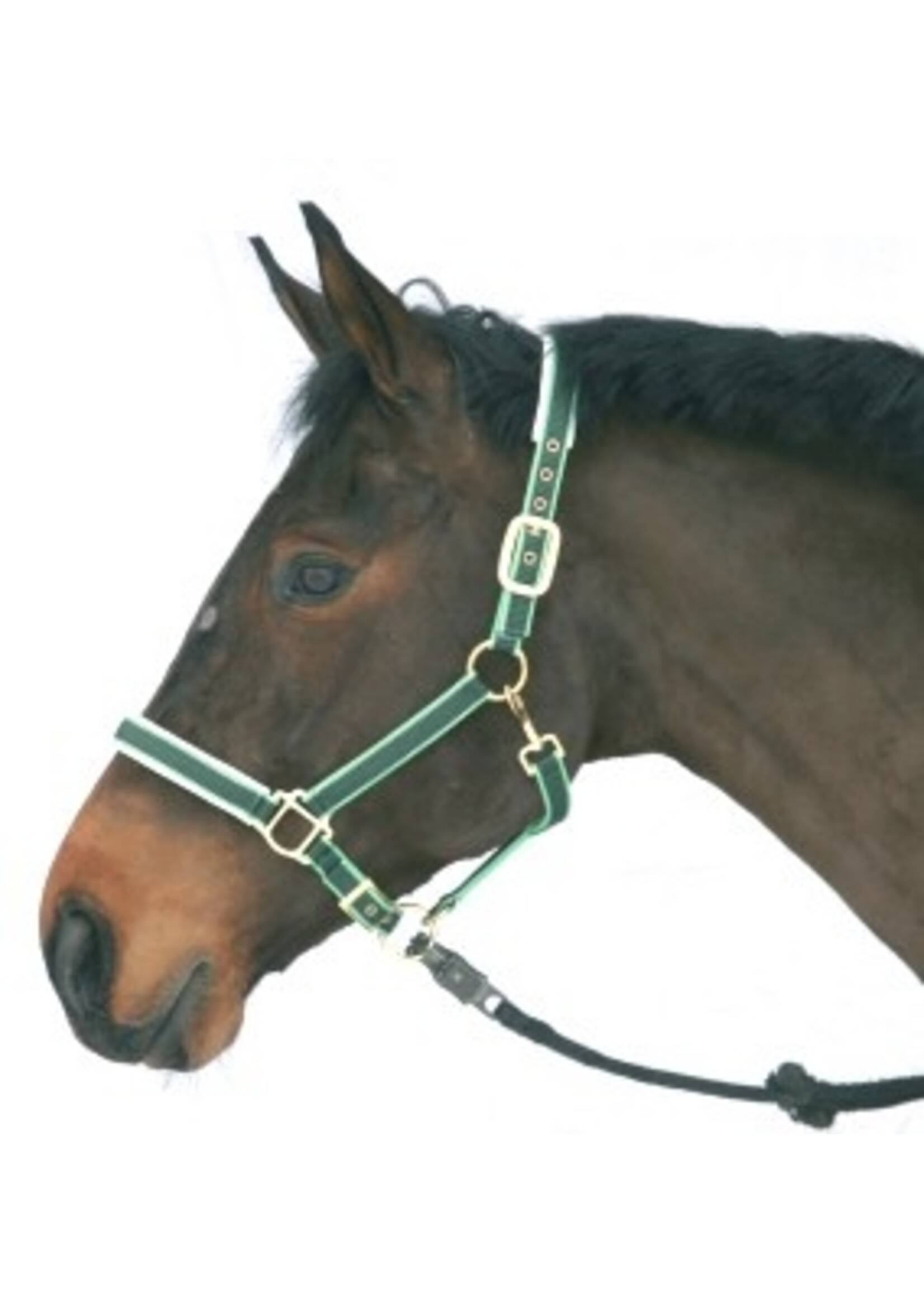 Luxe halster nylon/leer rood