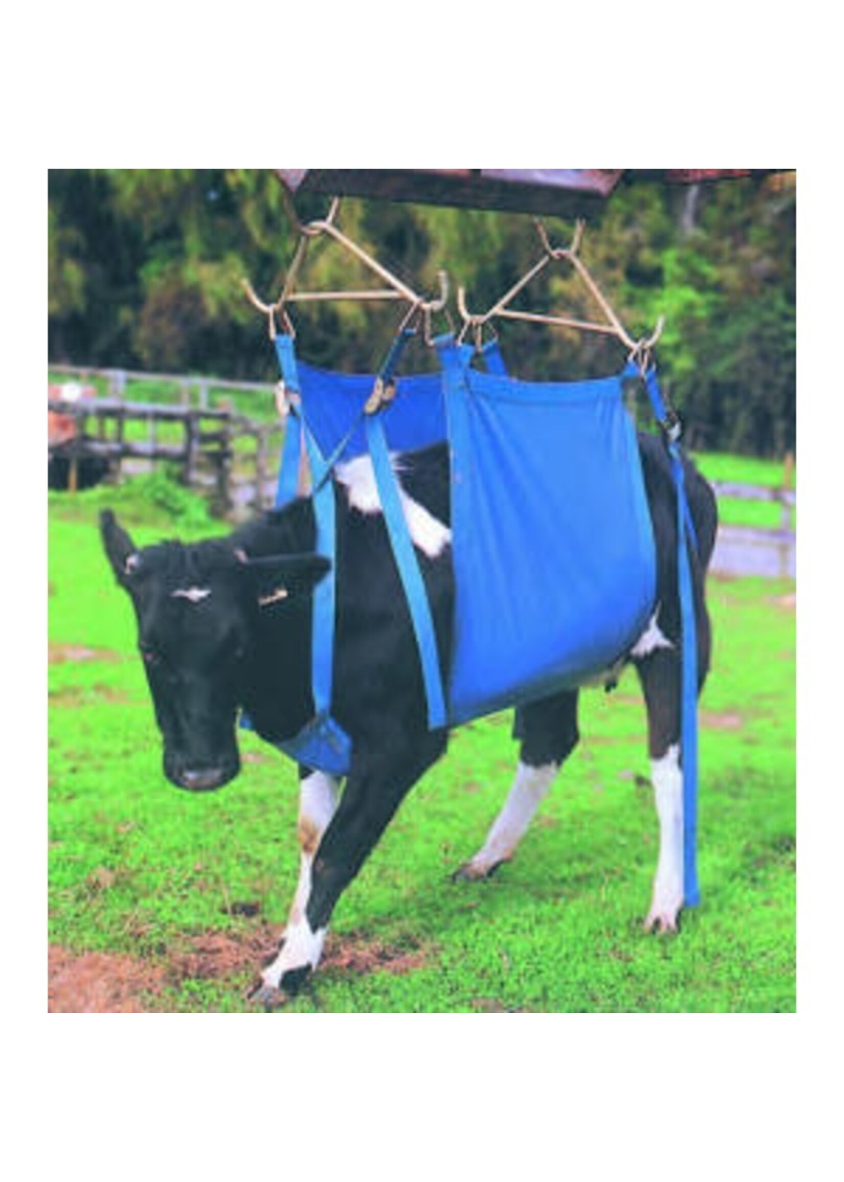 Koelift -Daisy Lifter- compleet