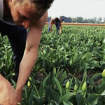 Land & tuinbouw