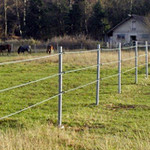Weidepalen
