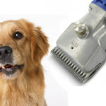 Hond & Kat